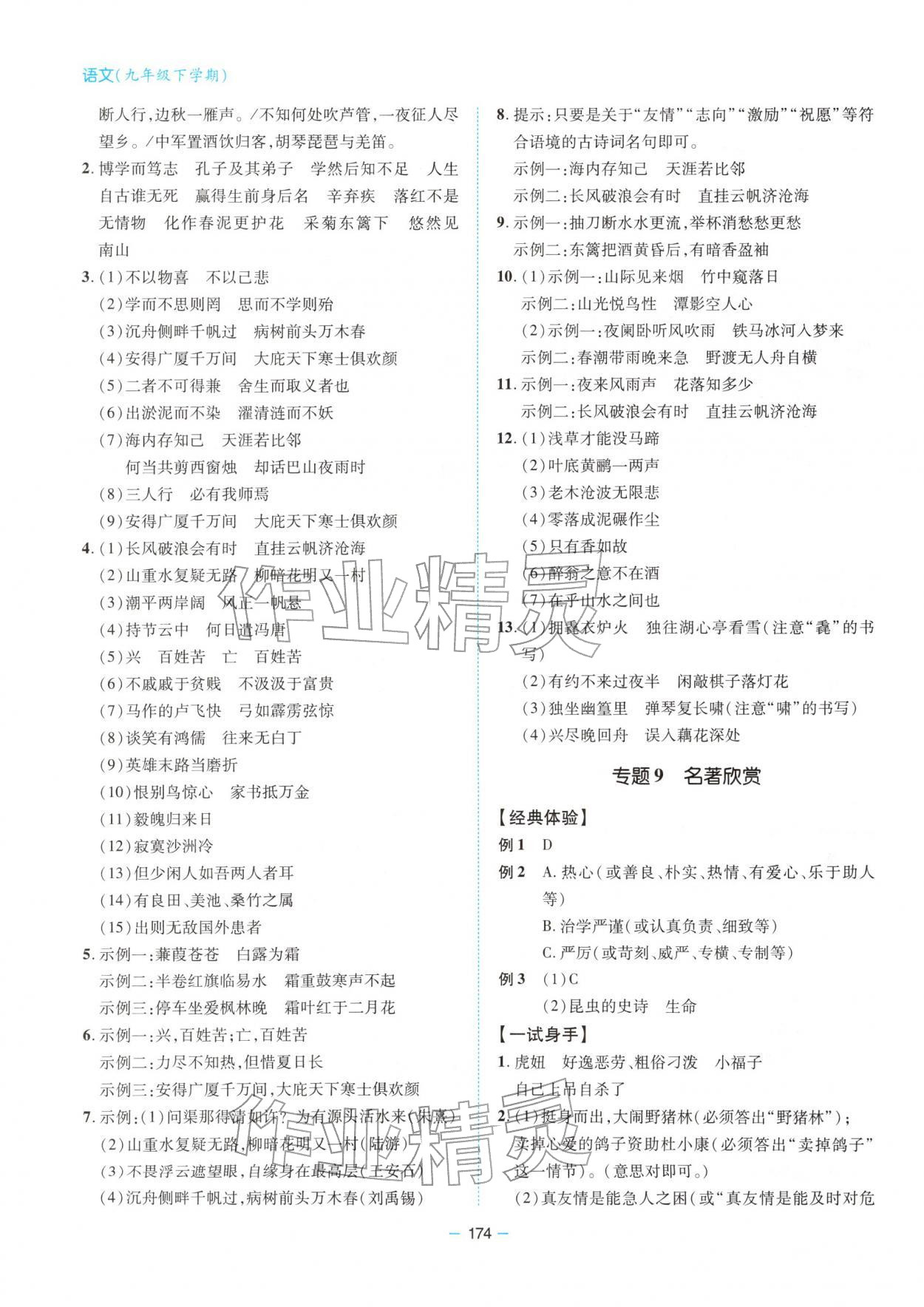 2026年新课堂同步学习与探究九年级语文下册人教版&nbsp;参考答案第3页