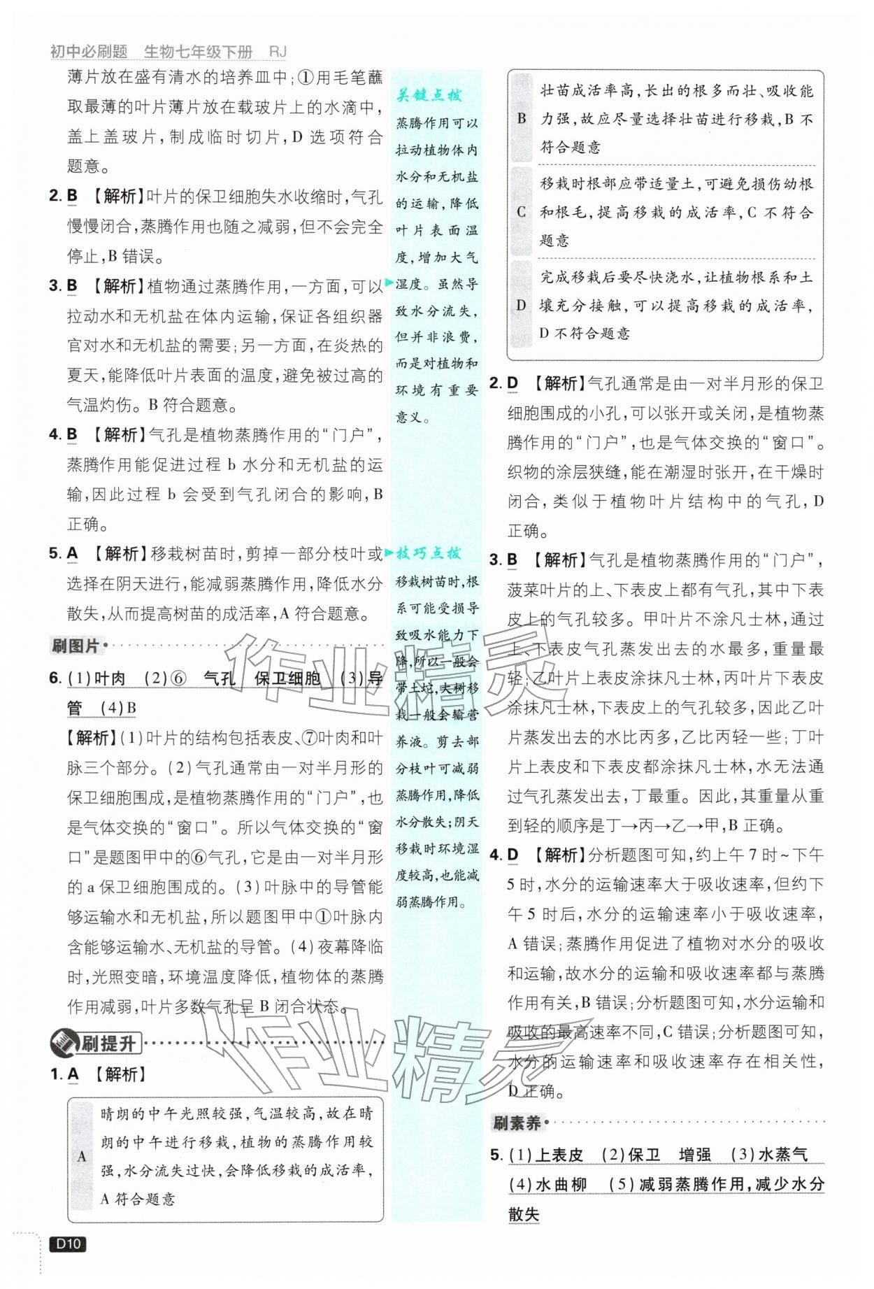 2026年初中必刷题七年级生物下册人教版&nbsp;第10页