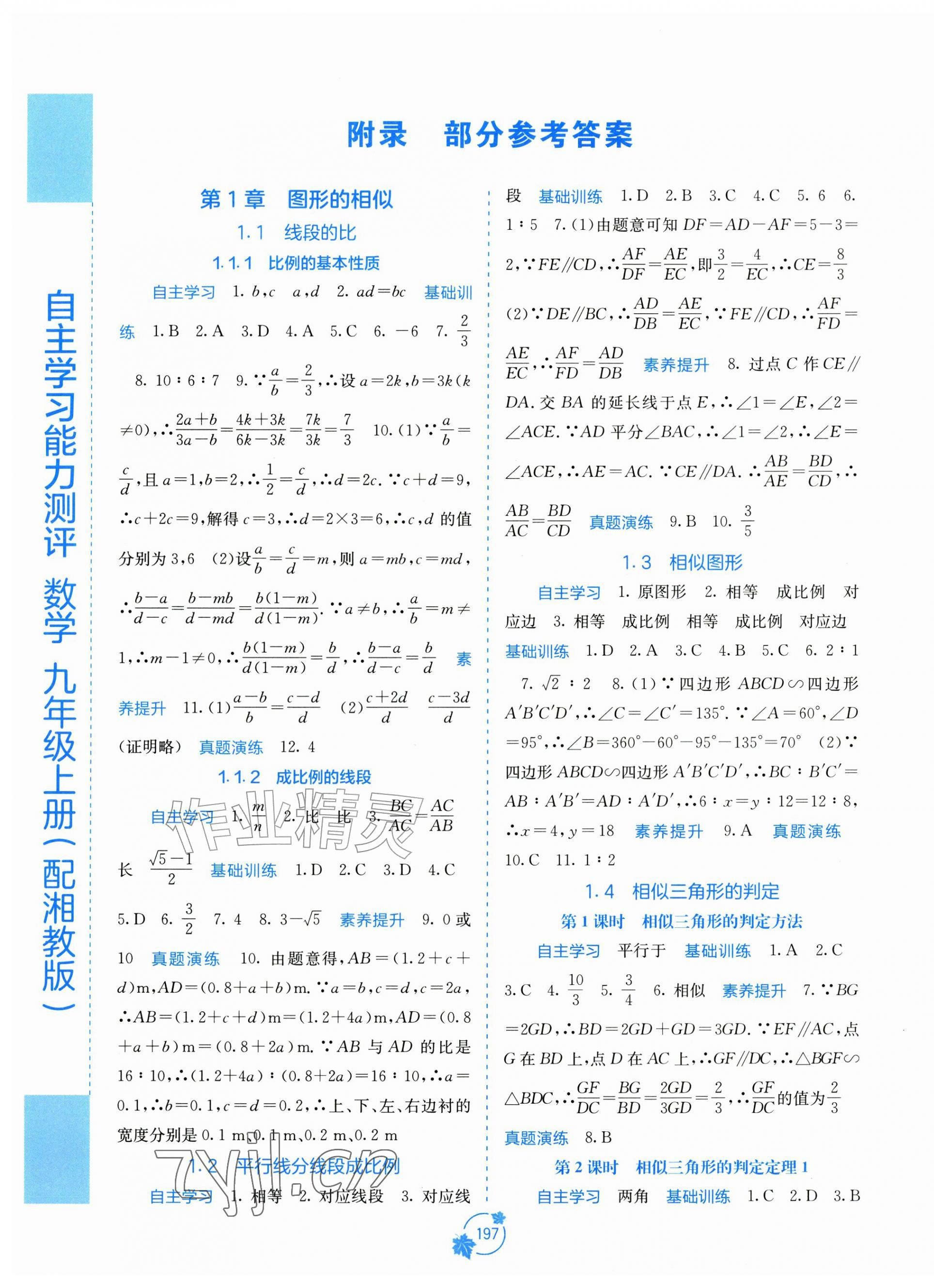 2026年自主学习能力测评九年级数学上册湘教版&nbsp;第1页