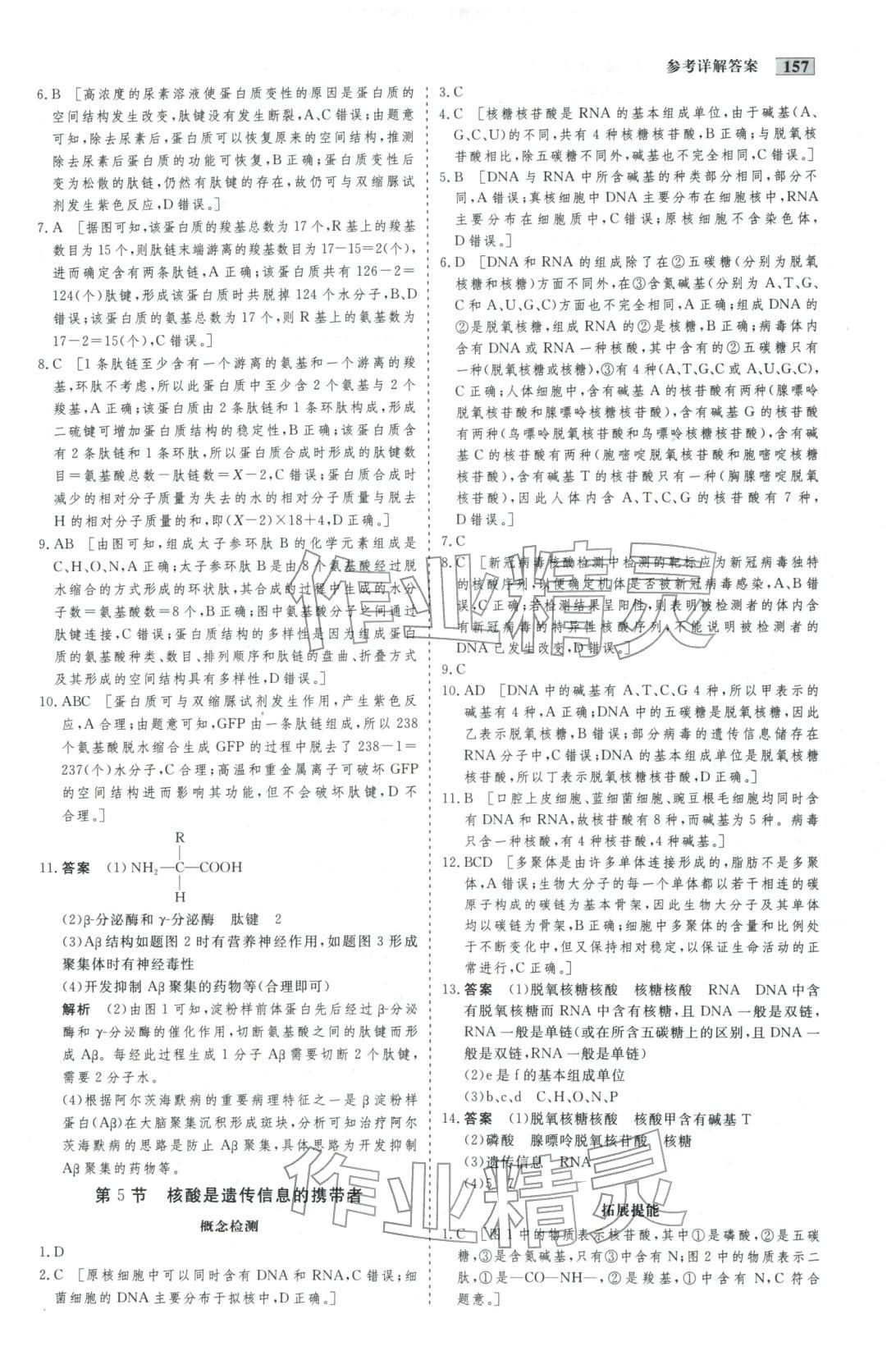 2025年金版教程作业与测评高中新课程学习高中生物必修第一册人教版&nbsp;第9页