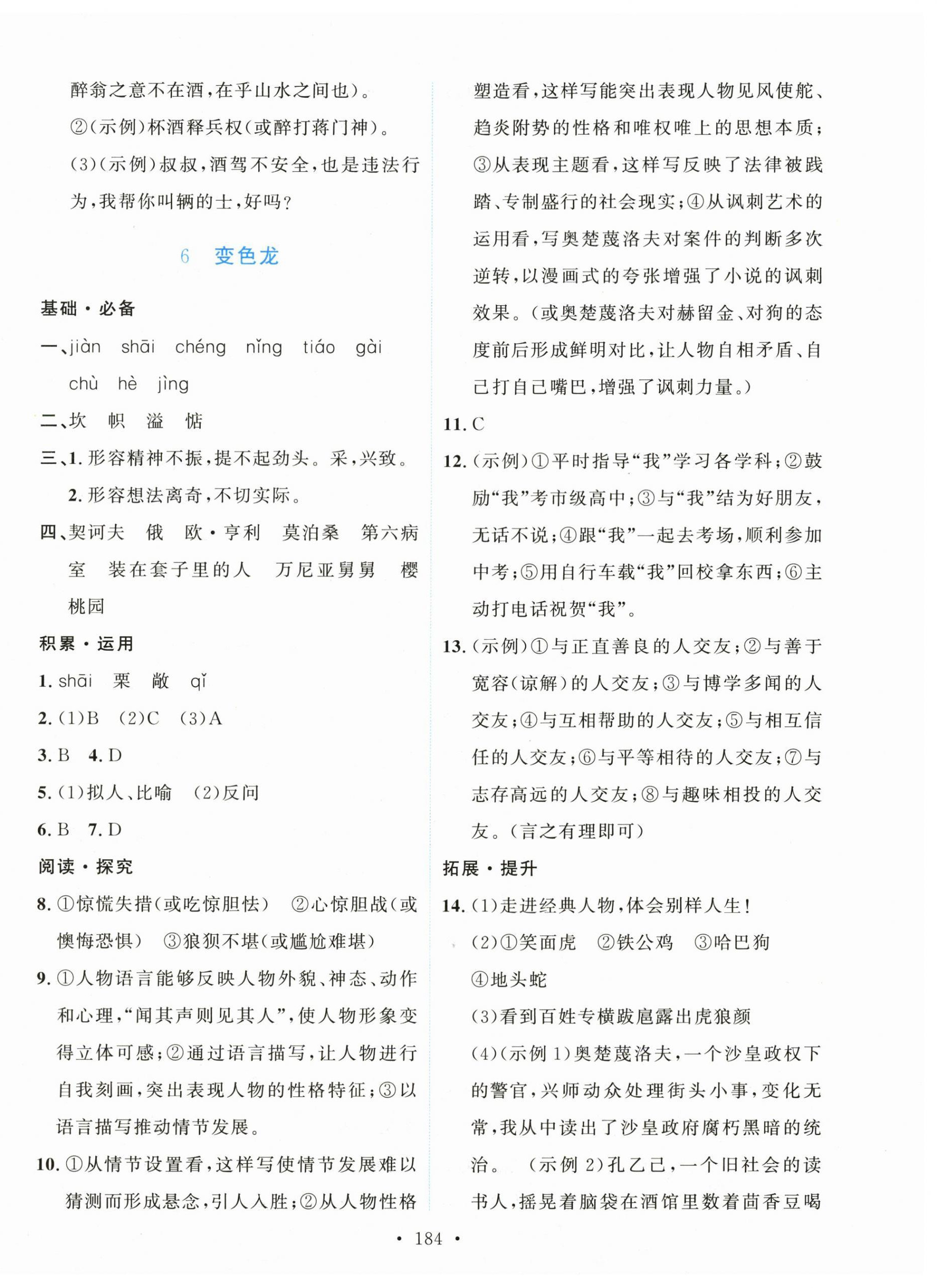 2026年实验教材新学案九年级语文下册人教版&nbsp;第6页