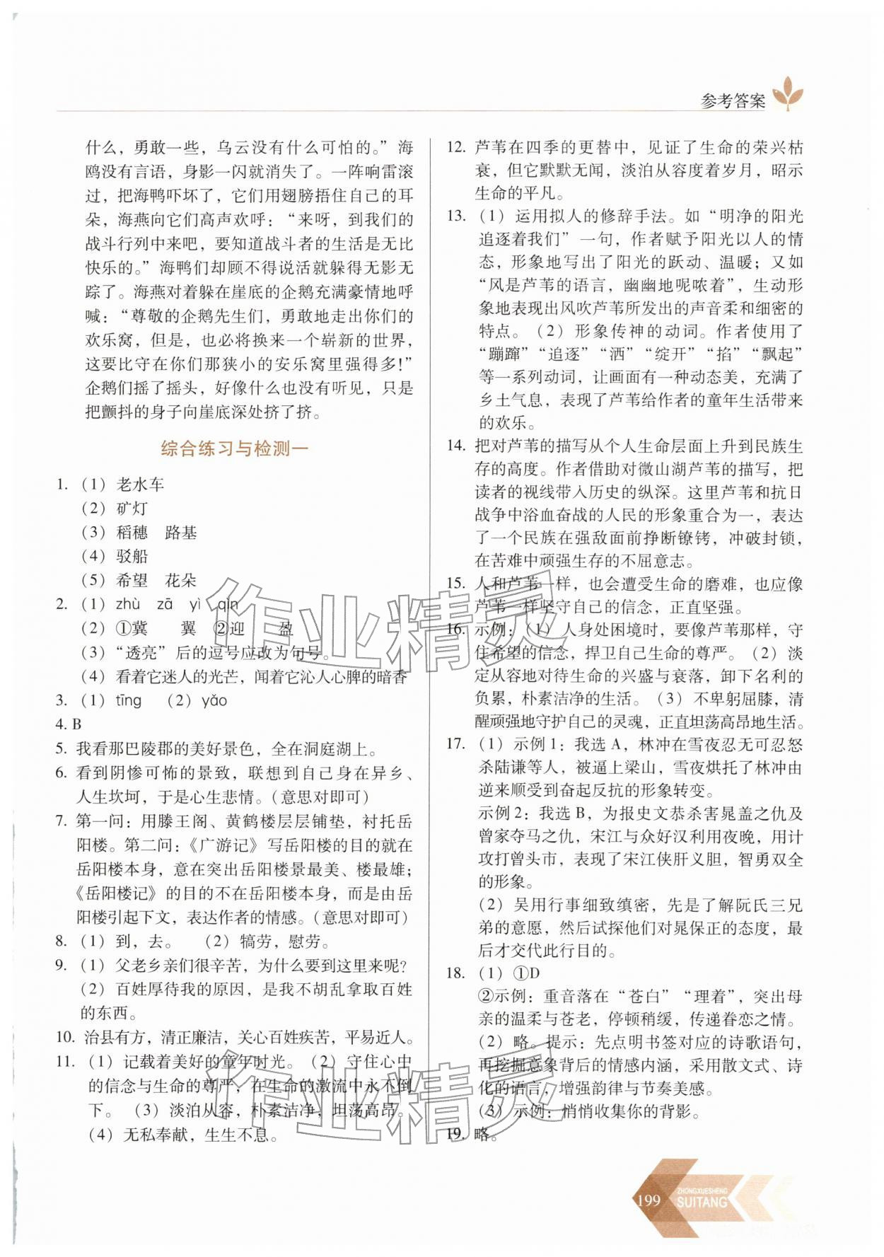 2026年随堂同步练习九年级语文下册人教版&nbsp;第3页