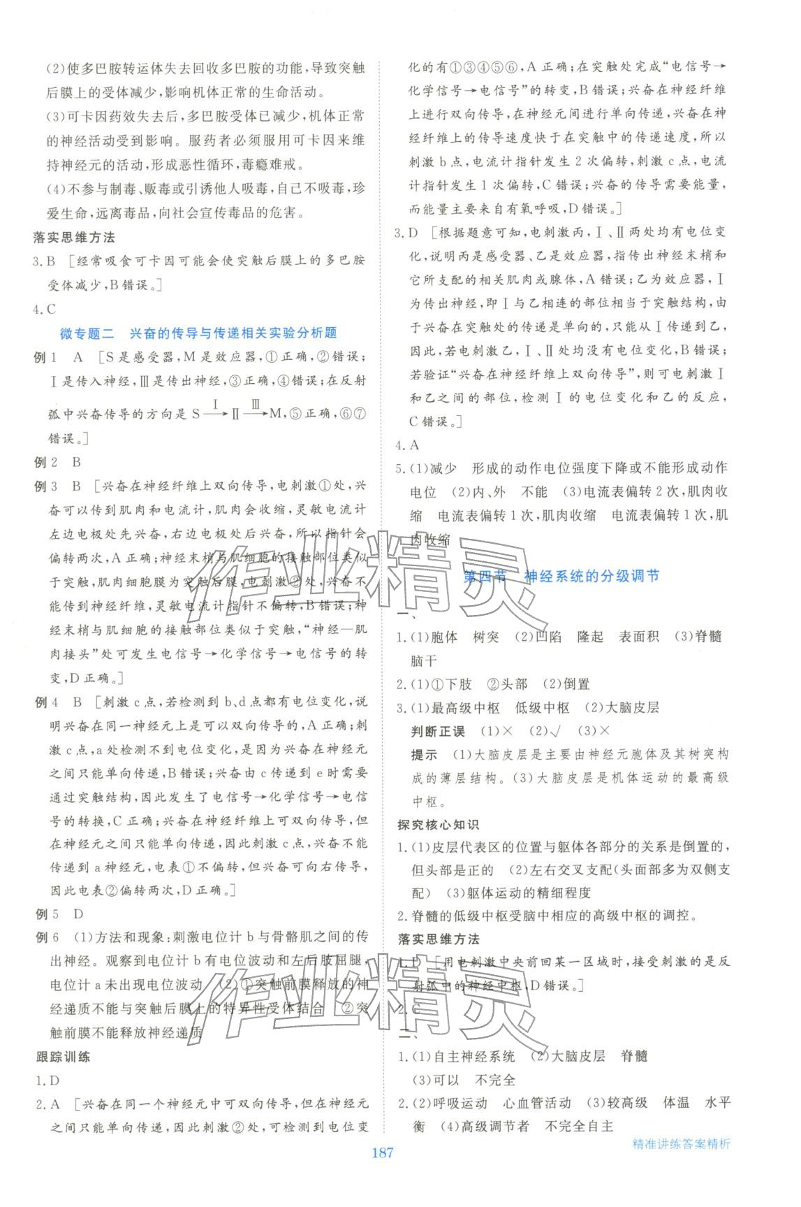 2025年步步高精准讲练生物选择性必修第一册&nbsp;参考答案第6页