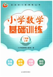 小学基础训练二年级数学青岛版五四制山东教育出版社