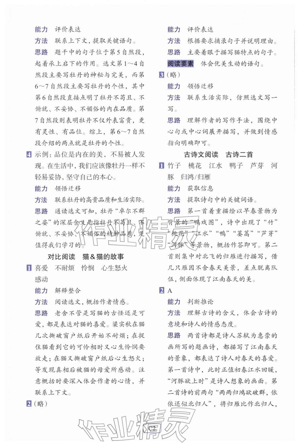 2026年知行合阅读主题拓展训练三年级语文下册人教版&nbsp;第2页