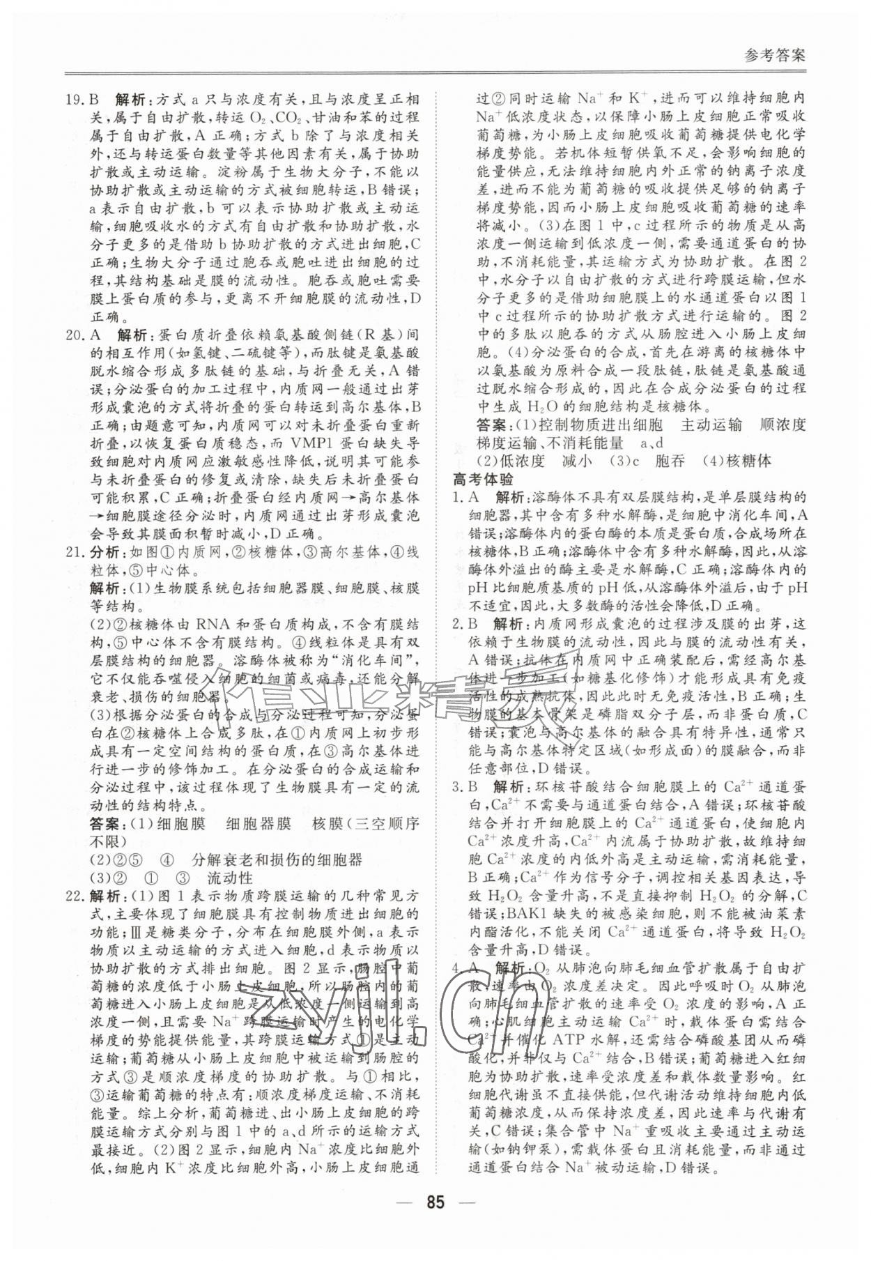 2026年完美假期暑假自主学习训练高一生物&nbsp;第5页
