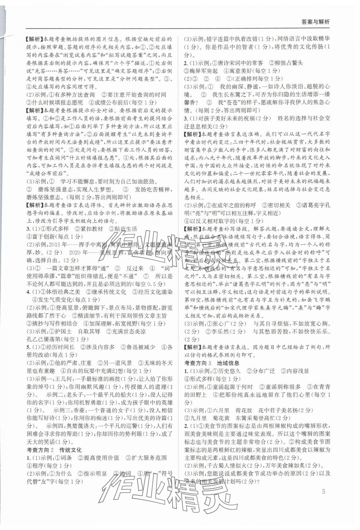 2025年实至中考核心考点精编语文中考成都专版&nbsp;第5页