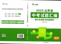 2024年正大圖書中考試題匯編化學(xué)山東專版