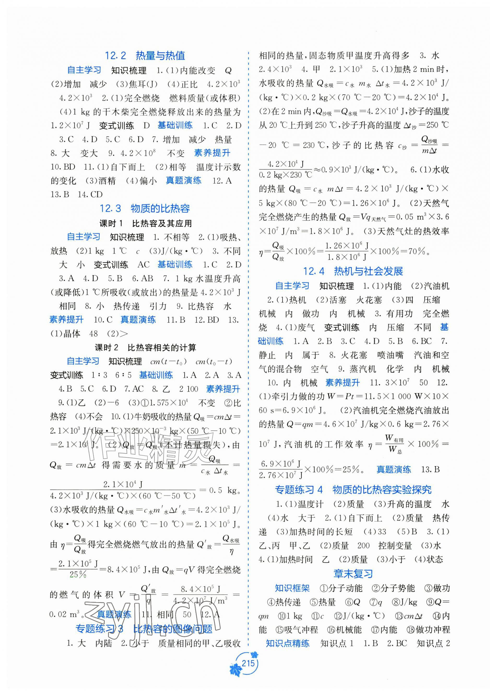 2026年自主学习能力测评九年级物理上册沪粤版&nbsp;第3页
