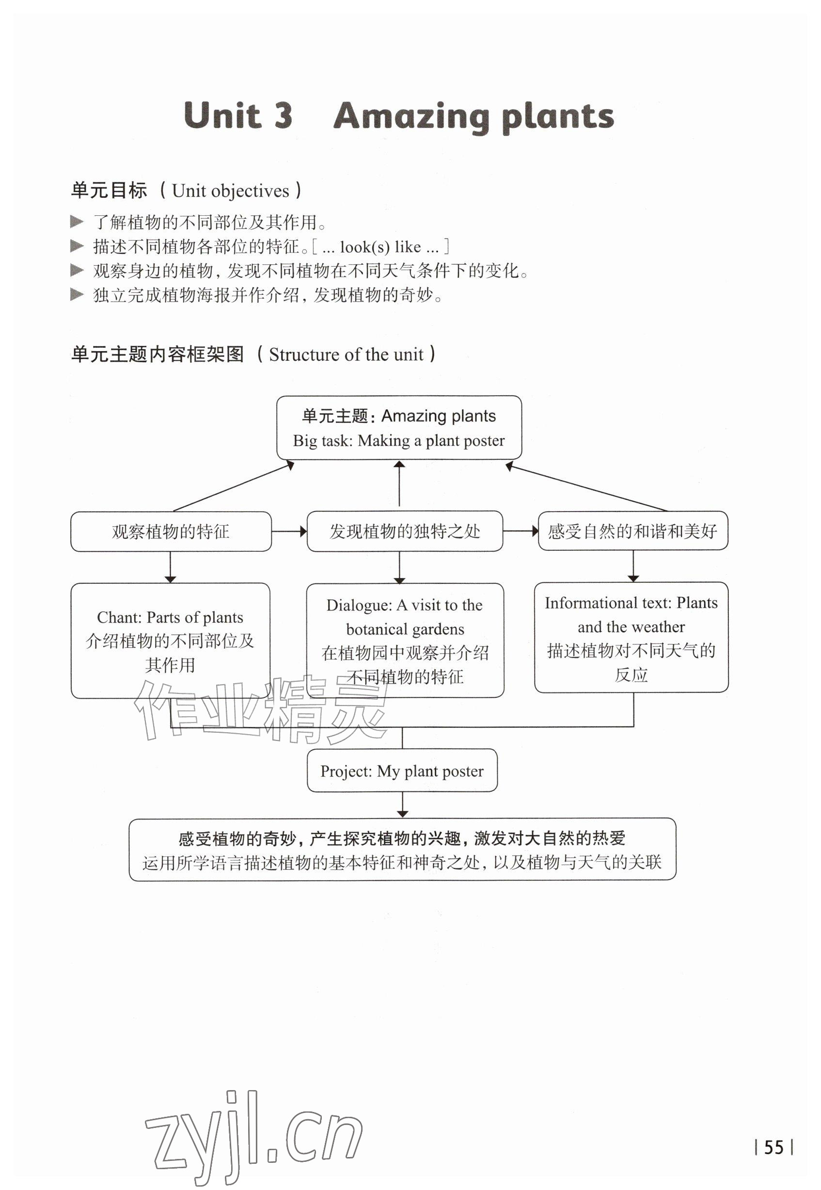 2026年教材课本五年级英语上册沪教版五四制&nbsp;参考答案第55页