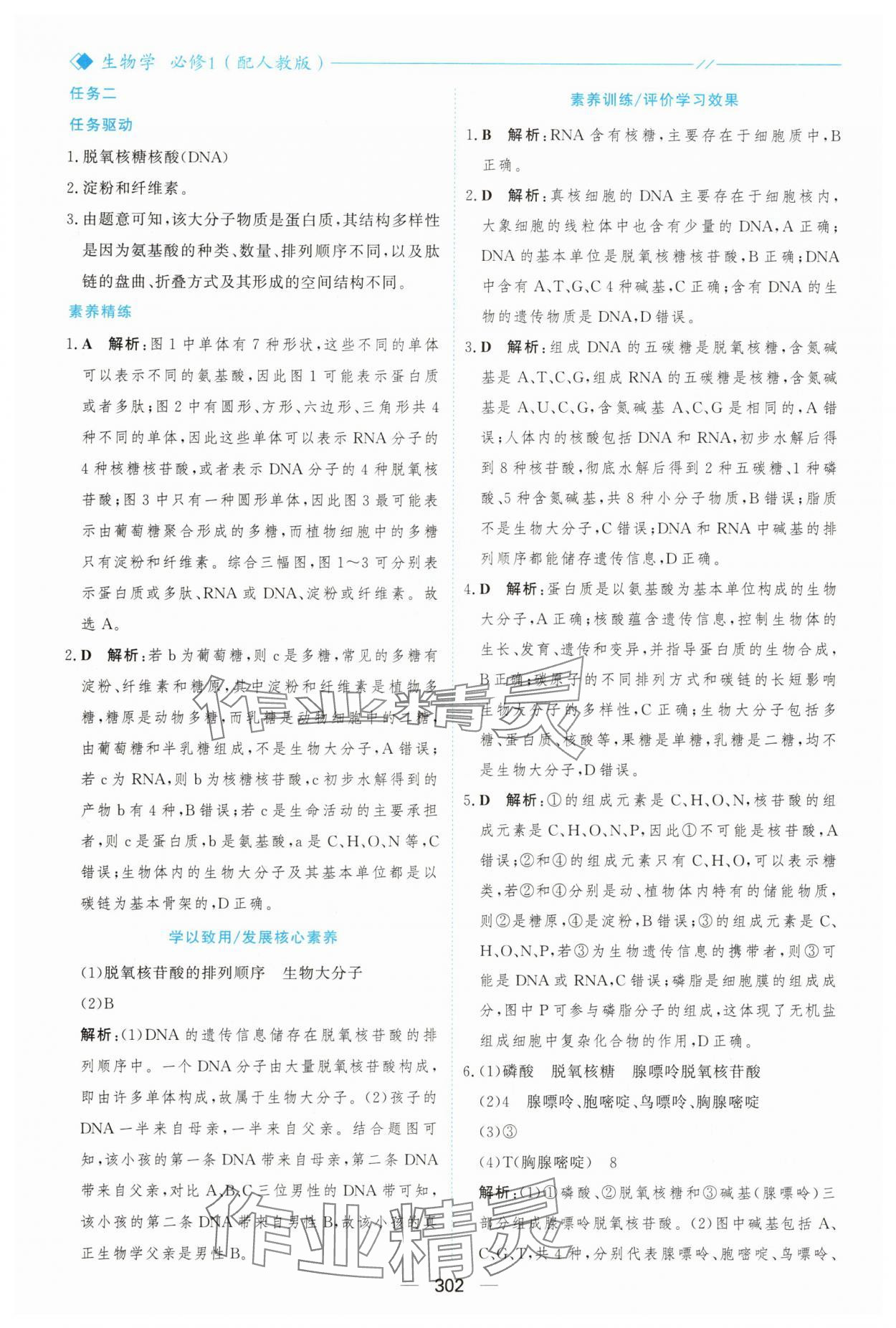 2025年新课程学习与测评高中生物必修1人教版&nbsp;参考答案第13页