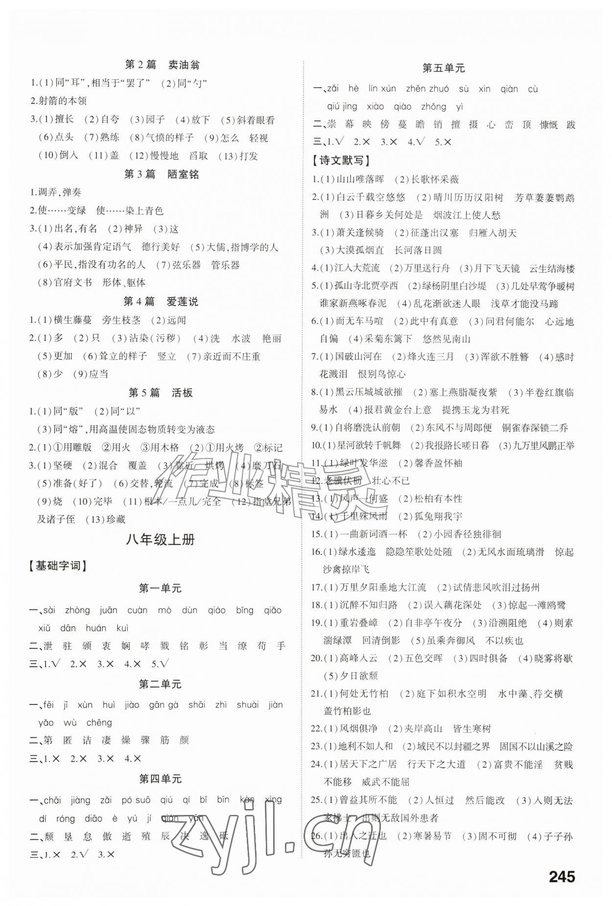 2026年初中总复习手册福建教育出版社语文&nbsp;第3页