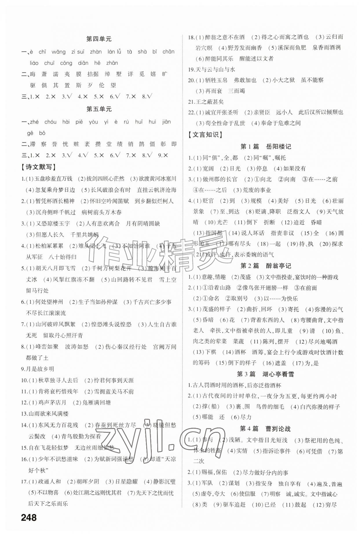 2026年初中总复习手册福建教育出版社语文&nbsp;第6页