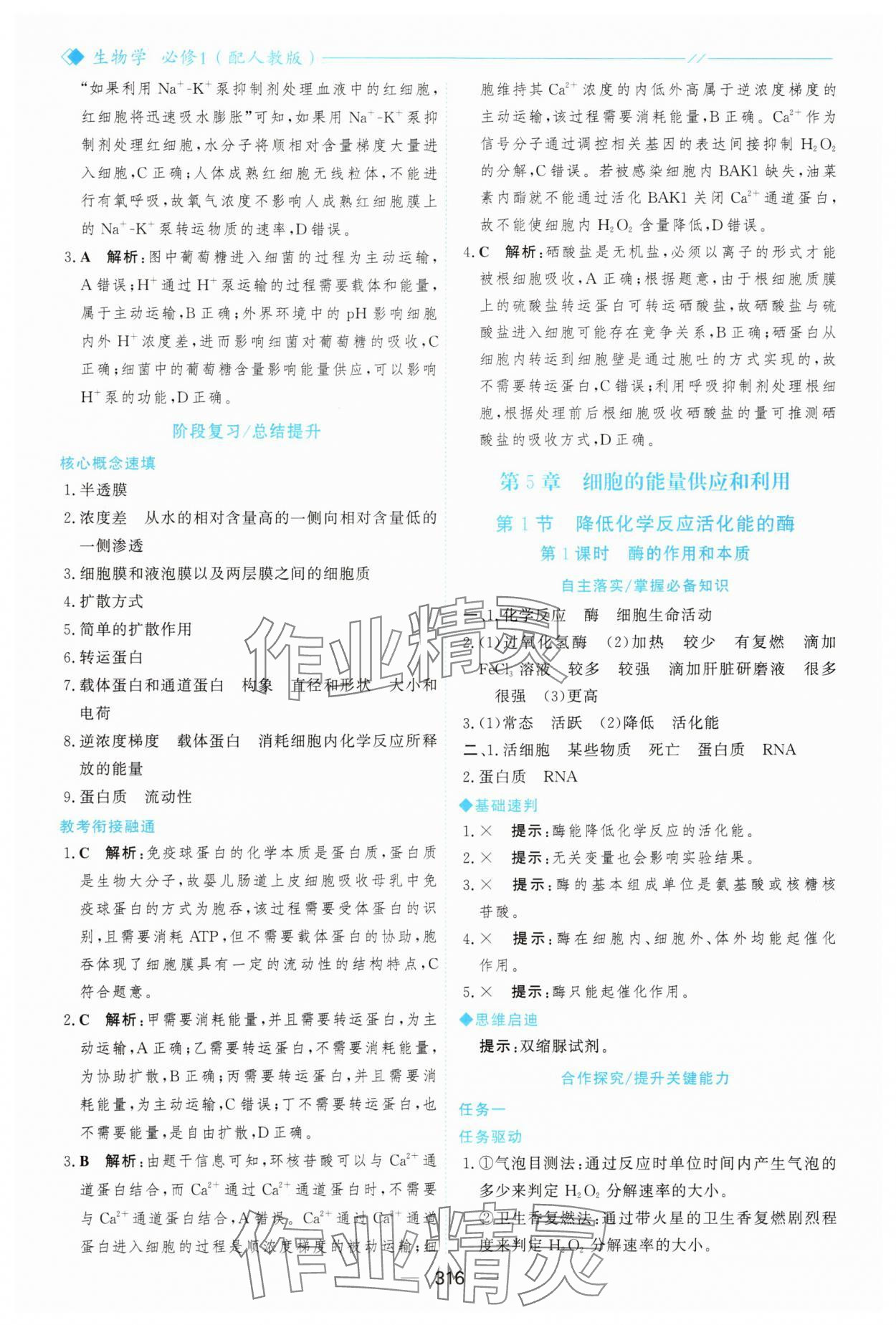 2025年新课程学习与测评高中生物必修1人教版&nbsp;参考答案第27页