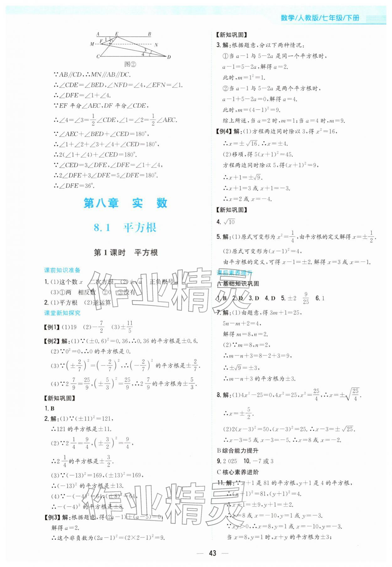 2026年新编基础训练七年级数学下册人教版&nbsp;第11页