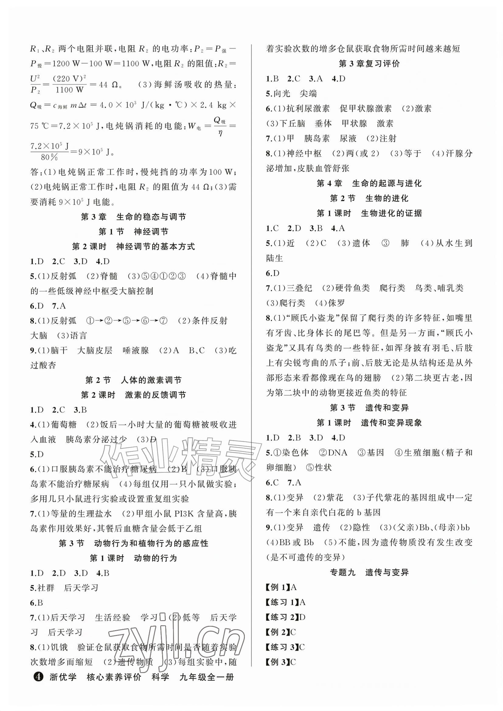 2026年浙优学核心素养评价九年级科学上册浙教版&nbsp;参考答案第4页