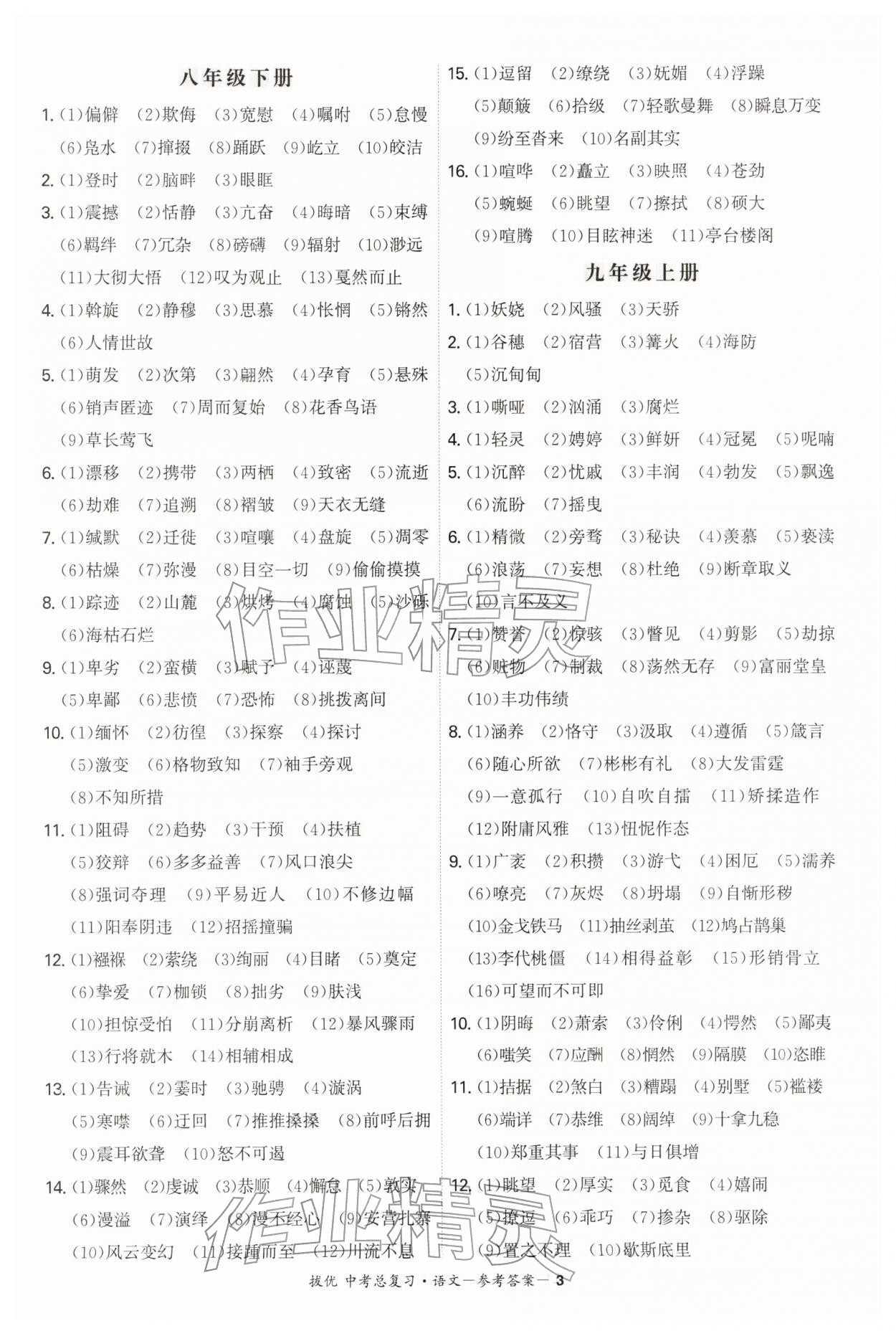 2026年拔优中考总复习语文&nbsp;第3页