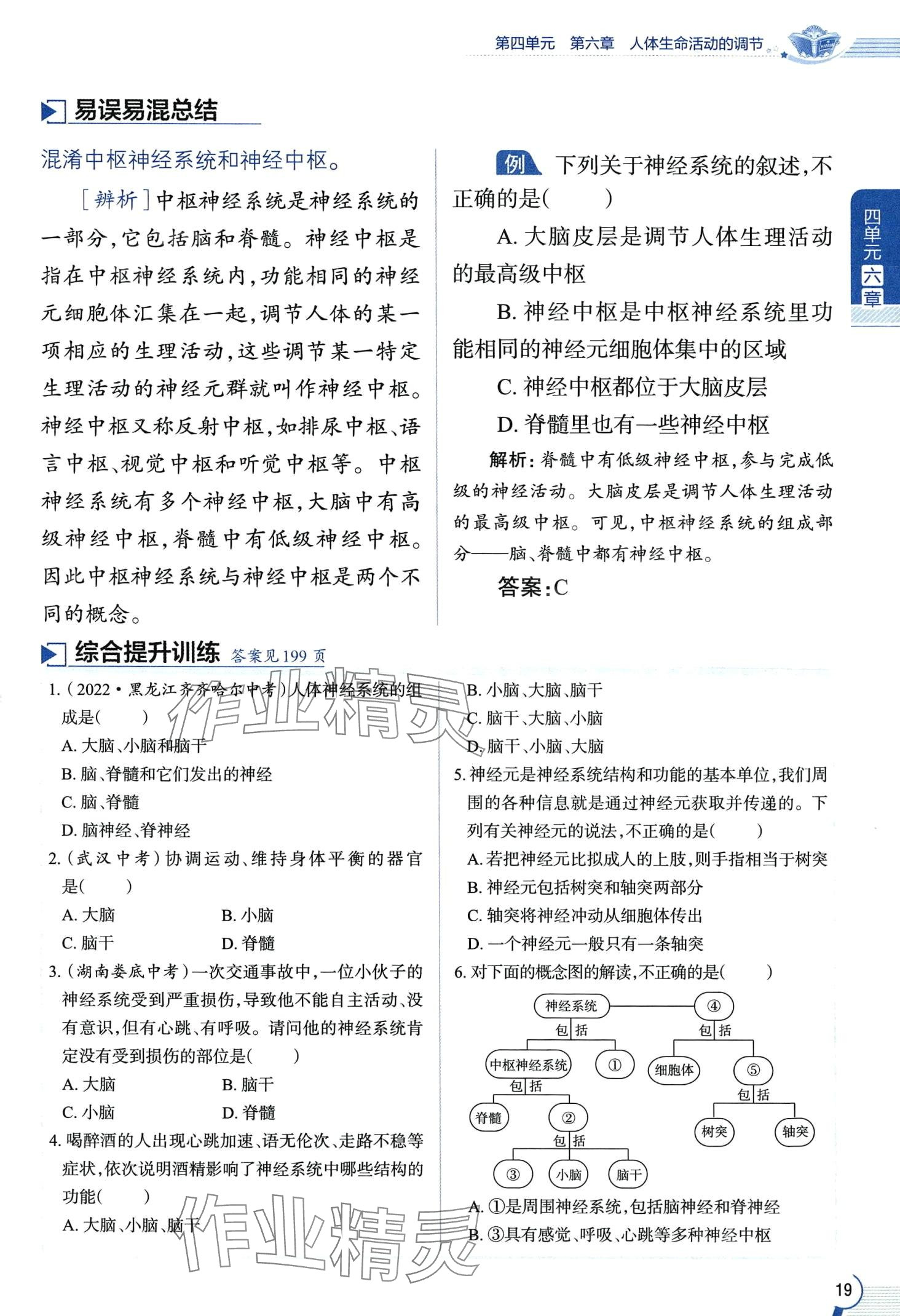 2024年教材课本七年级生物下册鲁科版&nbsp;第19页