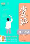 2024年少年班九年級(jí)化學(xué)下冊(cè)人教版