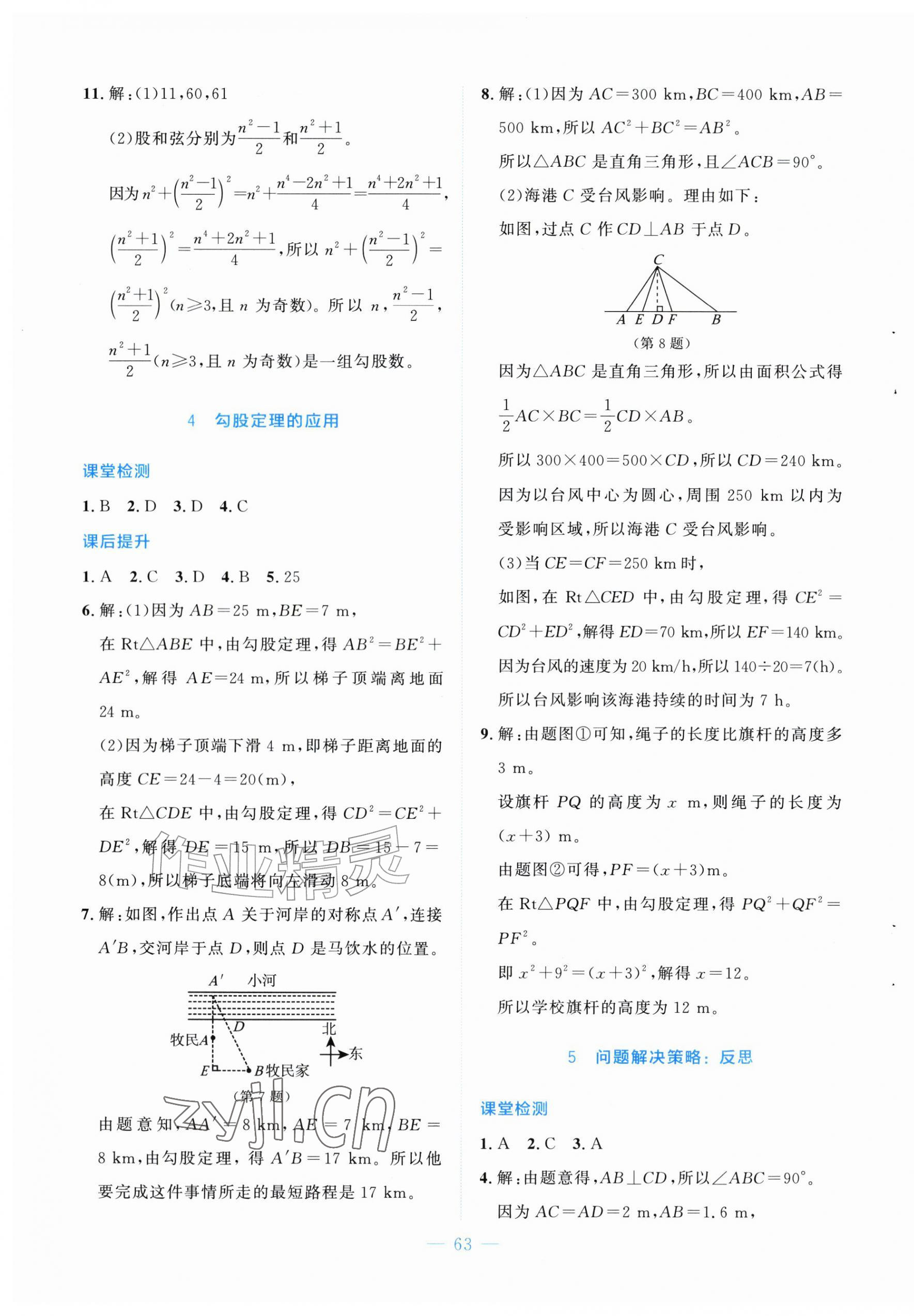 2026年伴你学北京师范大学出版社八年级数学上册北师大版&nbsp;第3页