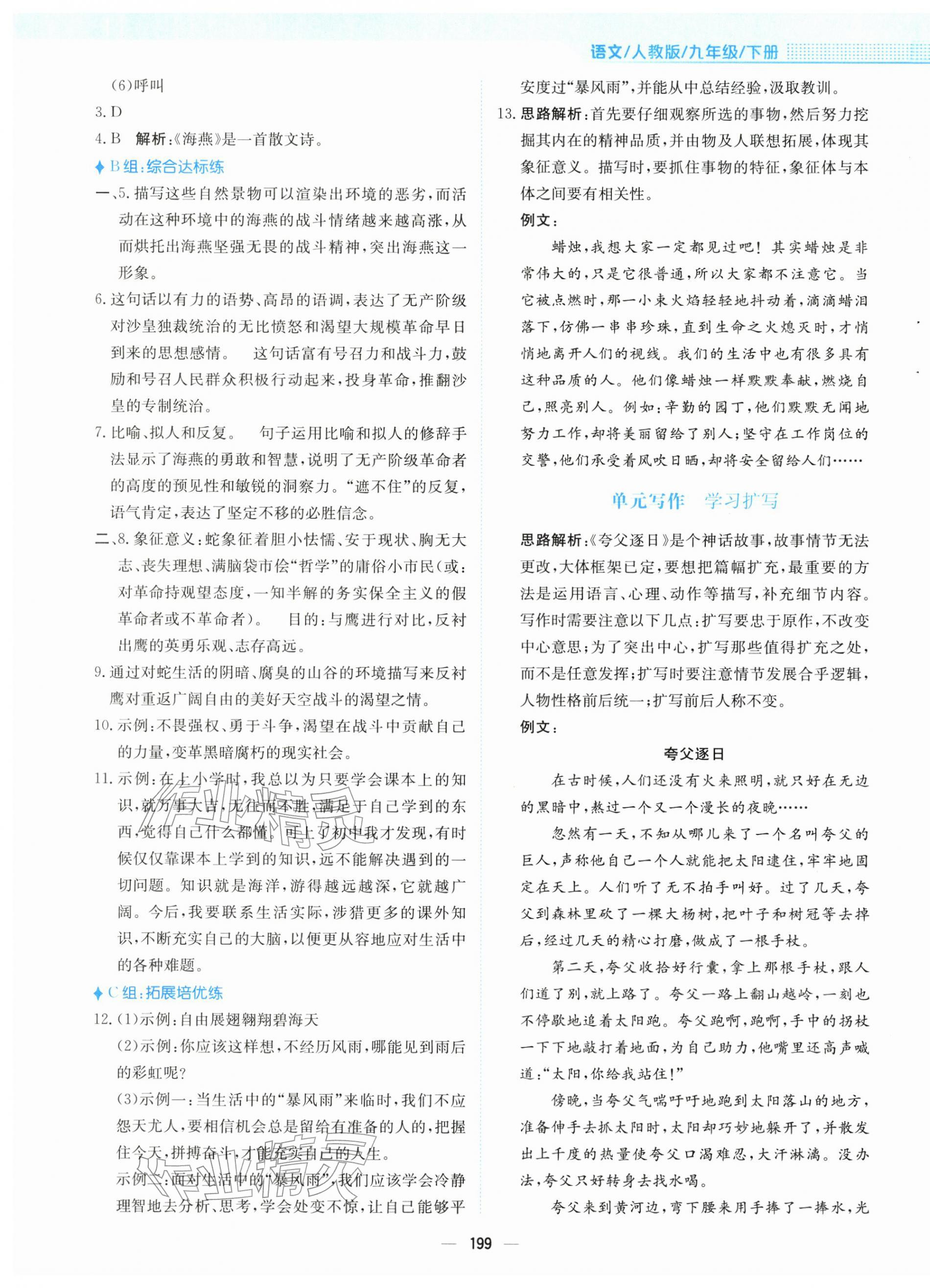 2026年新编基础训练九年级语文下册人教版&nbsp;第3页