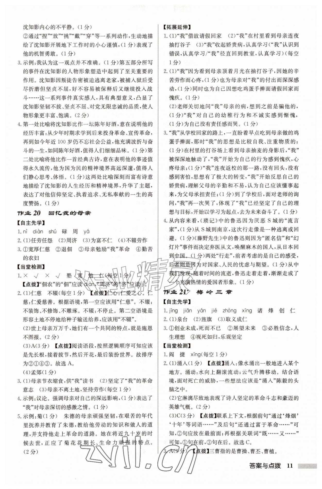 2026年启东中学作业本七年级语文上册人教版徐州专版&nbsp;参考答案第11页