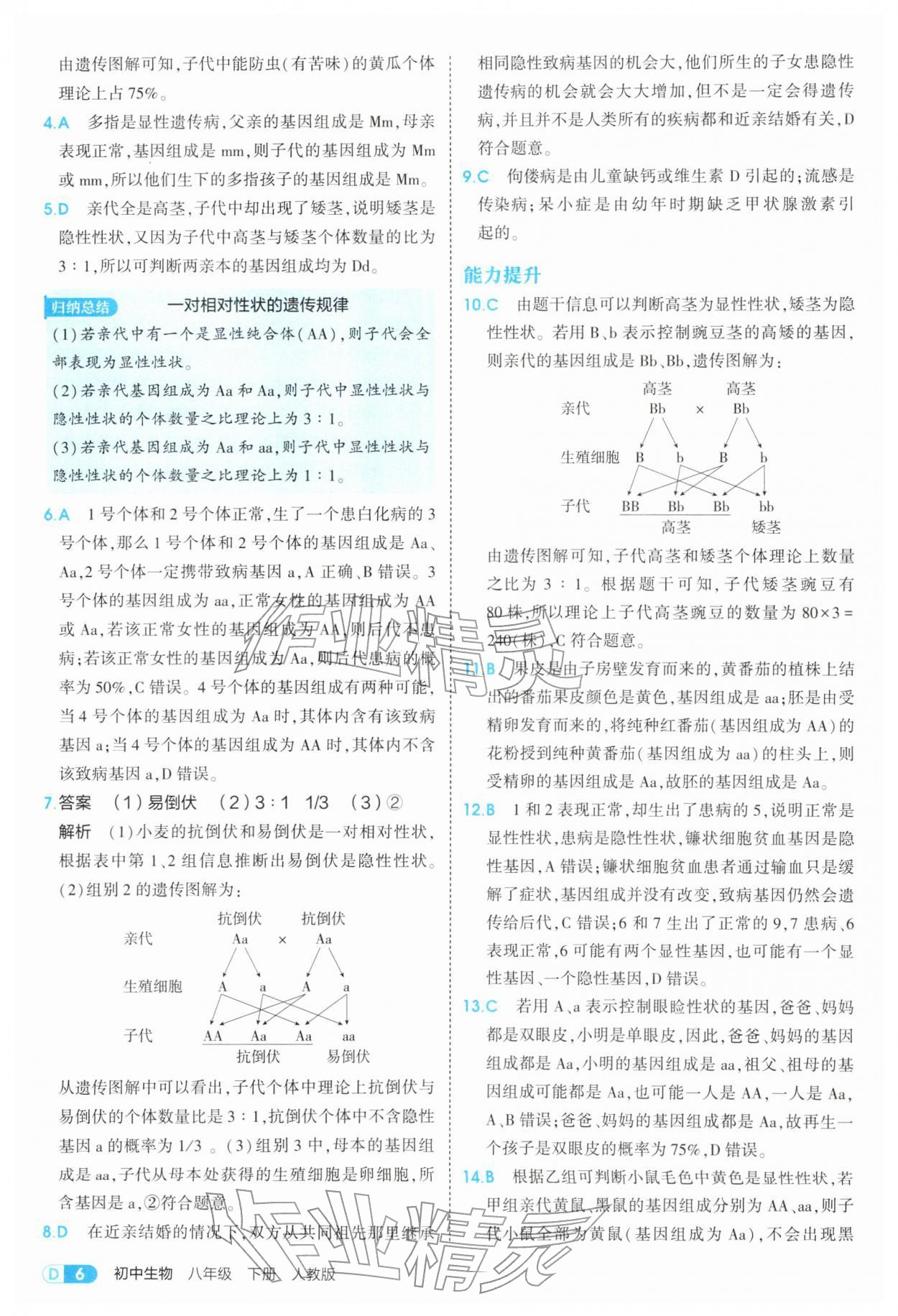 2026年5年中考3年模拟八年级生物下册人教版&nbsp;第6页