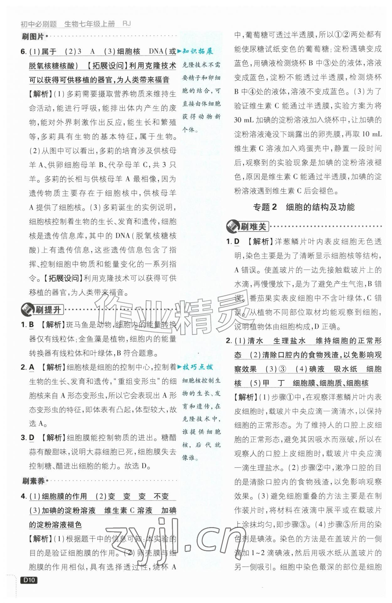 2026年初中必刷题七年级生物上册人教版&nbsp;第10页