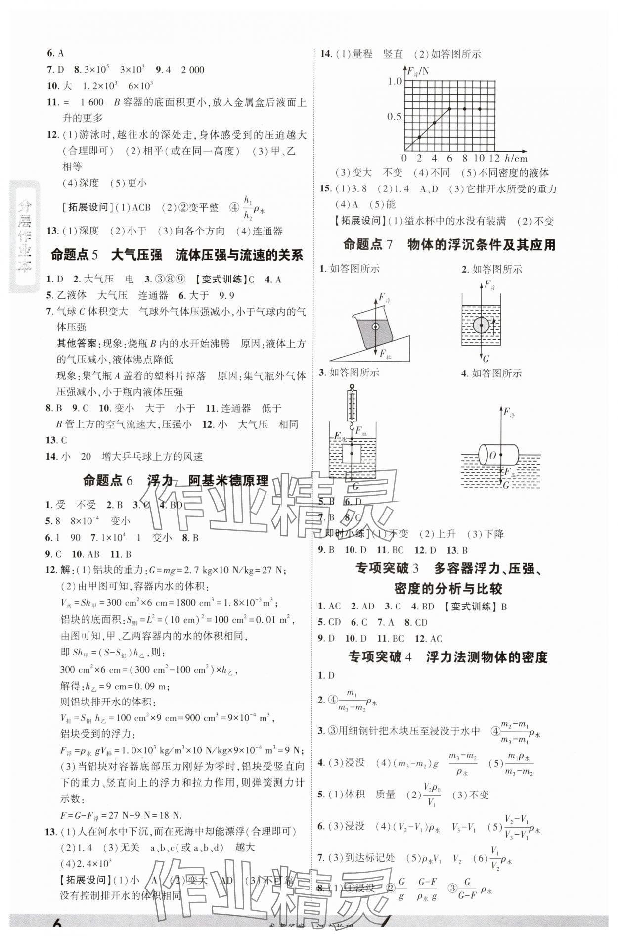 2025年一战成名考前新方案物理河南专版&nbsp;参考答案第6页