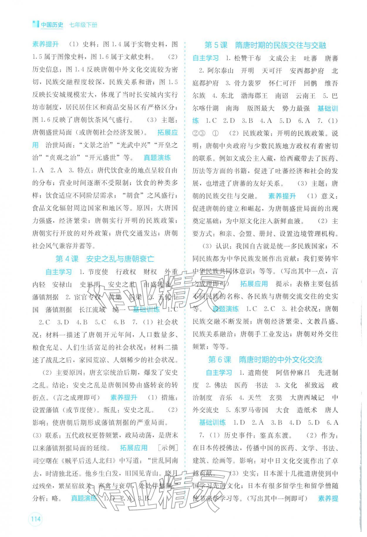 2026年自主学习能力测评七年级历史下册人教版&nbsp;第2页