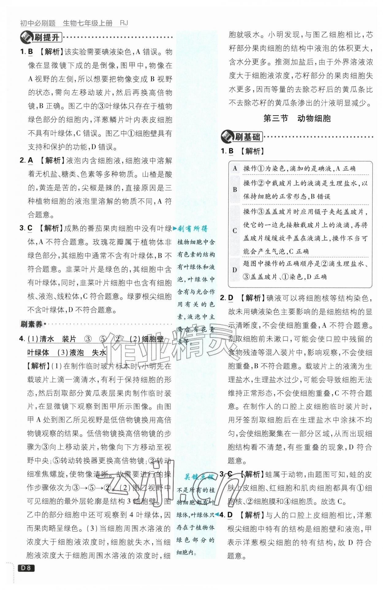 2026年初中必刷题七年级生物上册人教版&nbsp;第8页