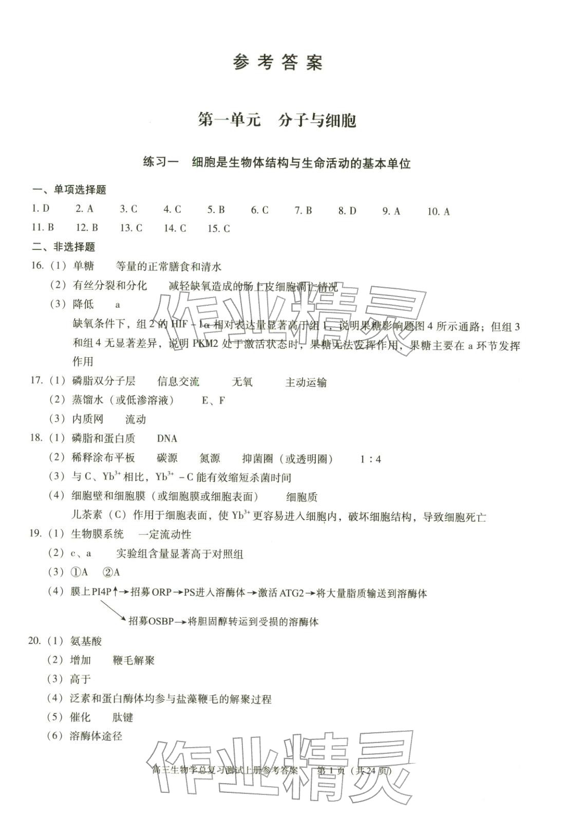 2025年新课程高考总复习丛书高三总复习测试高三生物上册通用版&nbsp;第1页