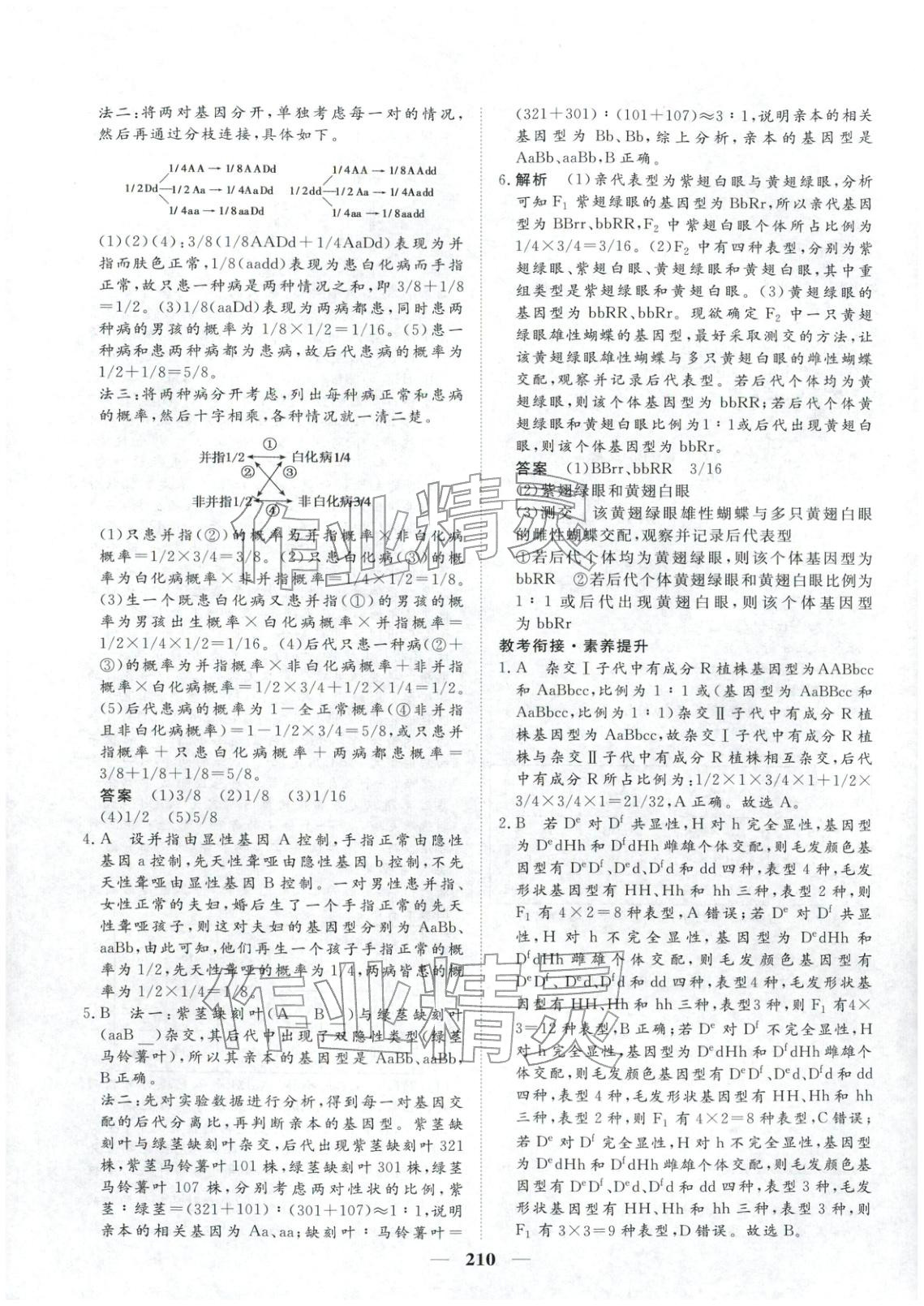 2025年维课金版高中生物必修第二册&nbsp;第5页