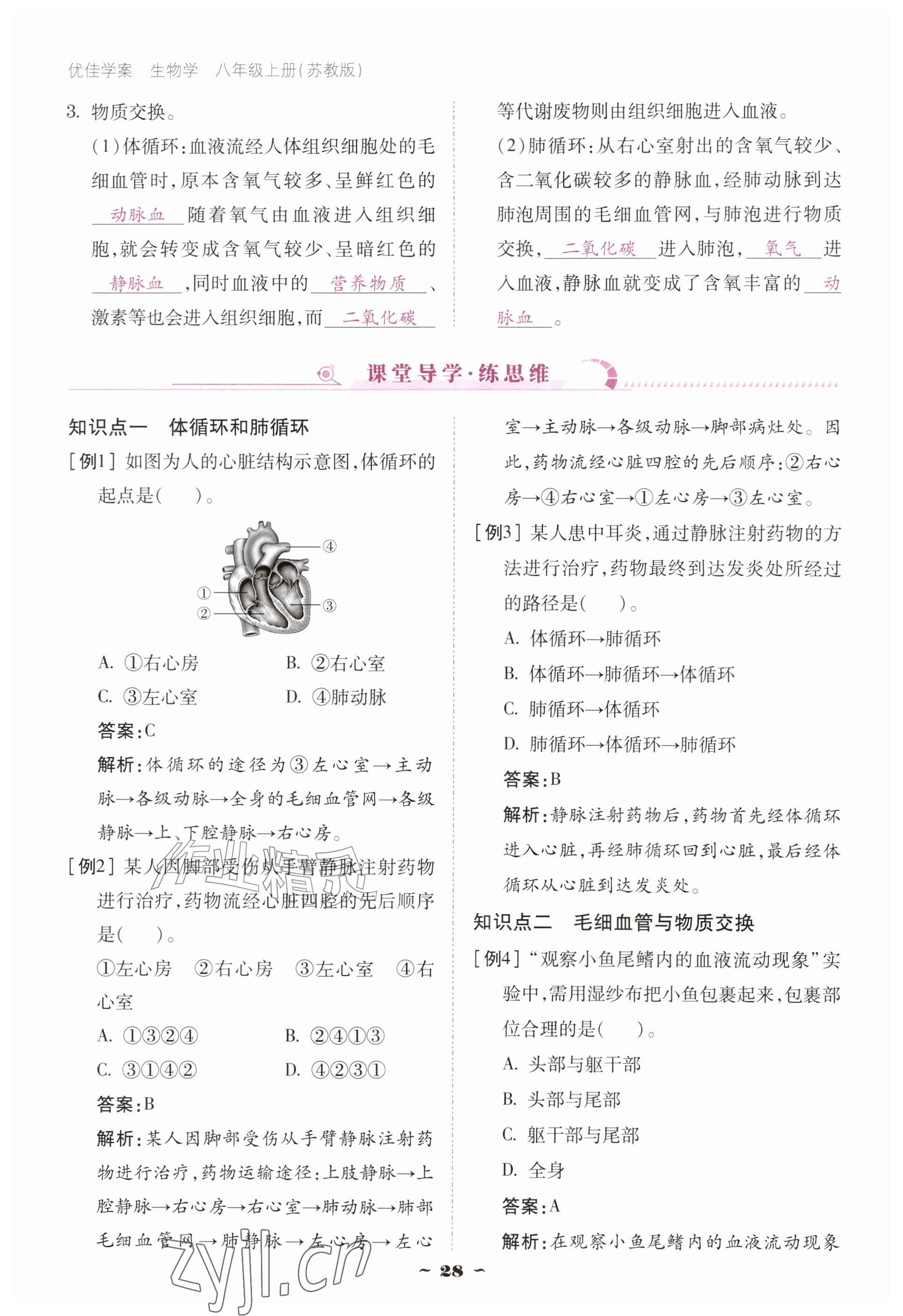 2026年优佳学案（云南）八年级生物上册苏教版&nbsp;参考答案第28页