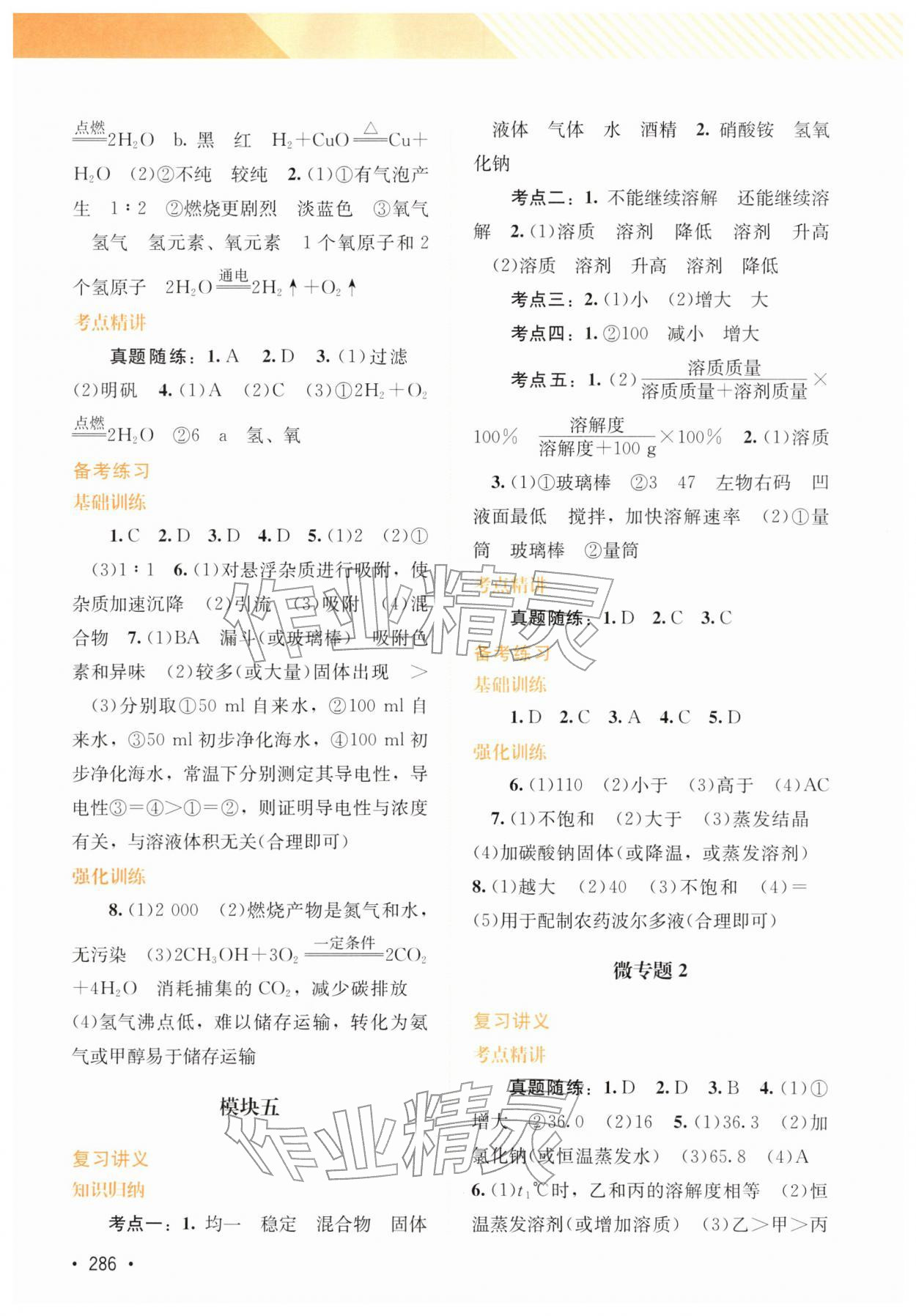 2026年中考指南总复习化学科粤版&nbsp;第4页