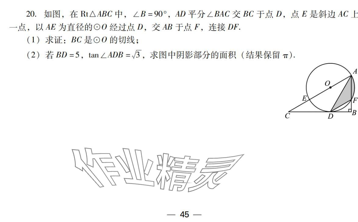 2024年激智数学中考&nbsp;参考答案第45页