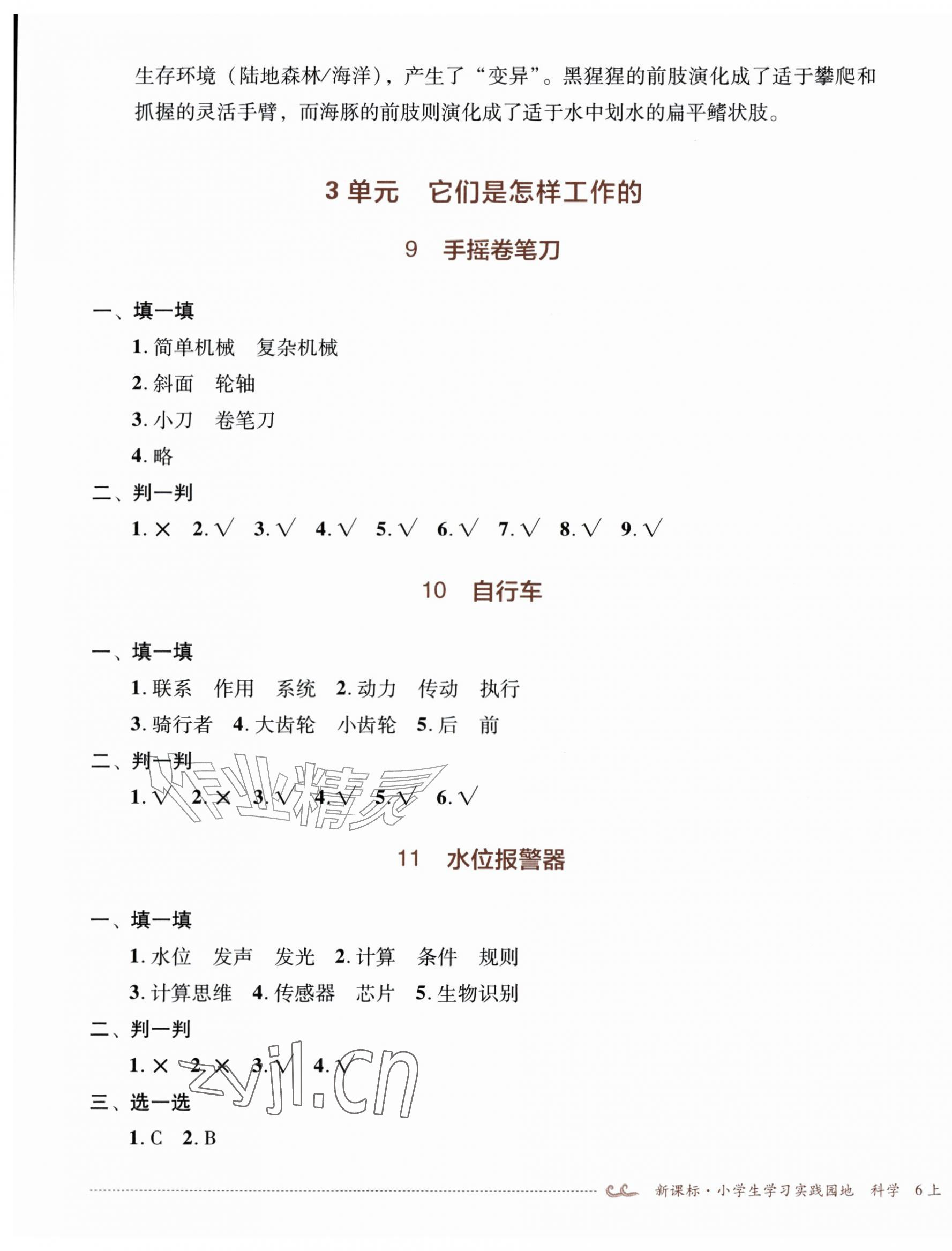 2026年学习实践园地六年级科学上册苏教版&nbsp;第5页