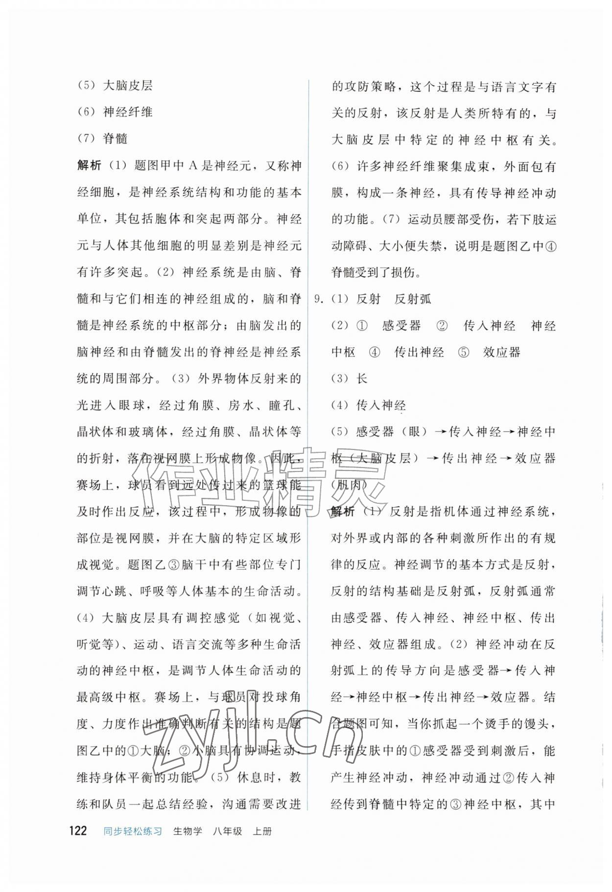 2026年同步轻松练习八年级生物上册人教版四川专版&nbsp;参考答案第4页