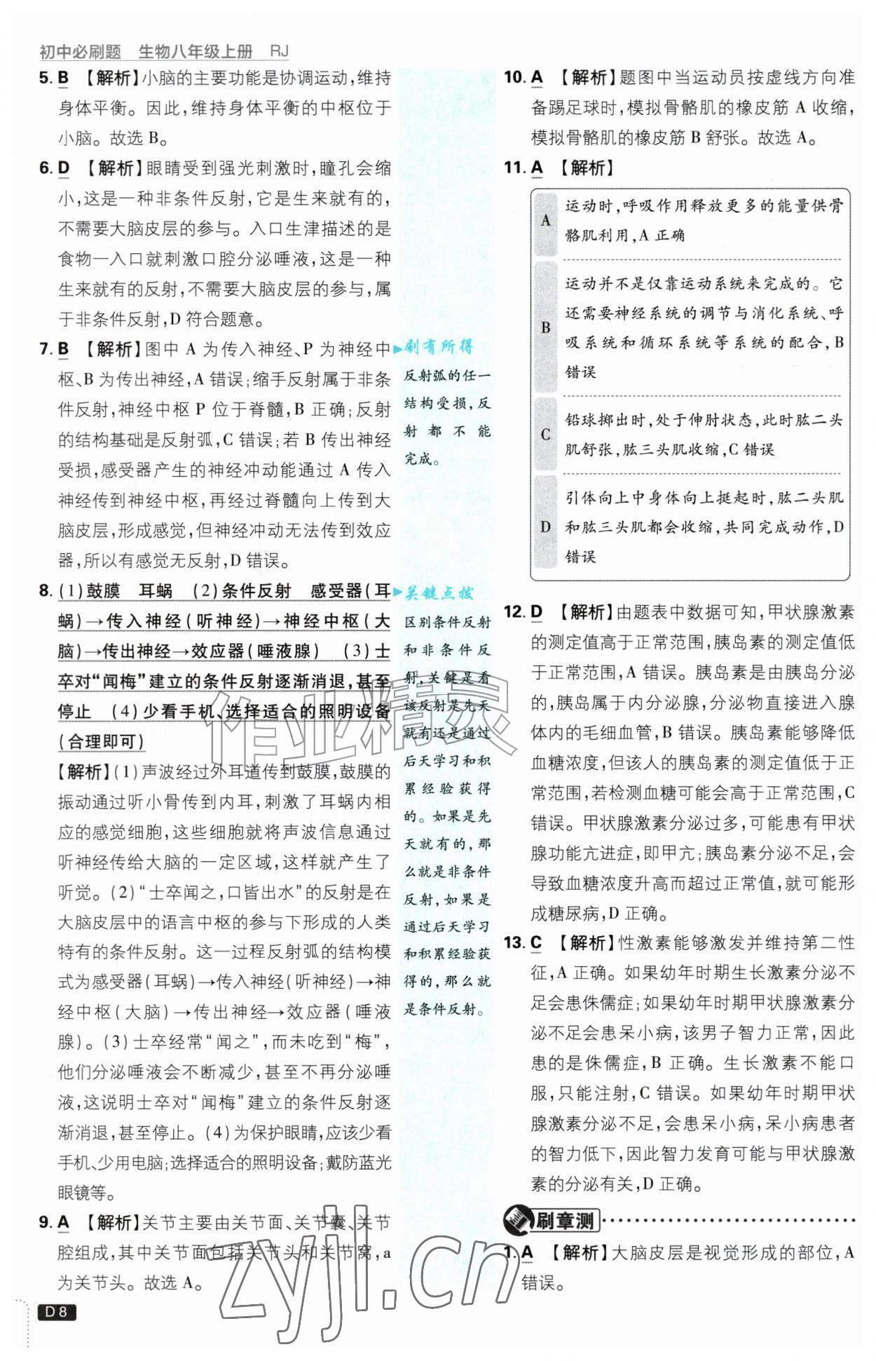 2026年初中必刷题八年级生物上册人教版&nbsp;第8页