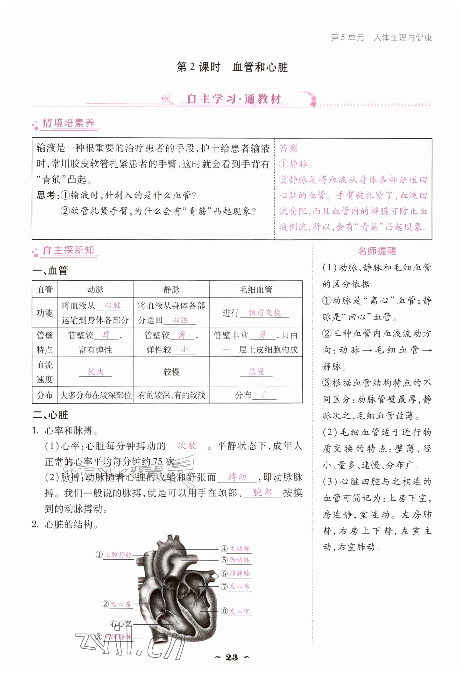 2026年优佳学案（云南）八年级生物上册苏教版&nbsp;参考答案第23页