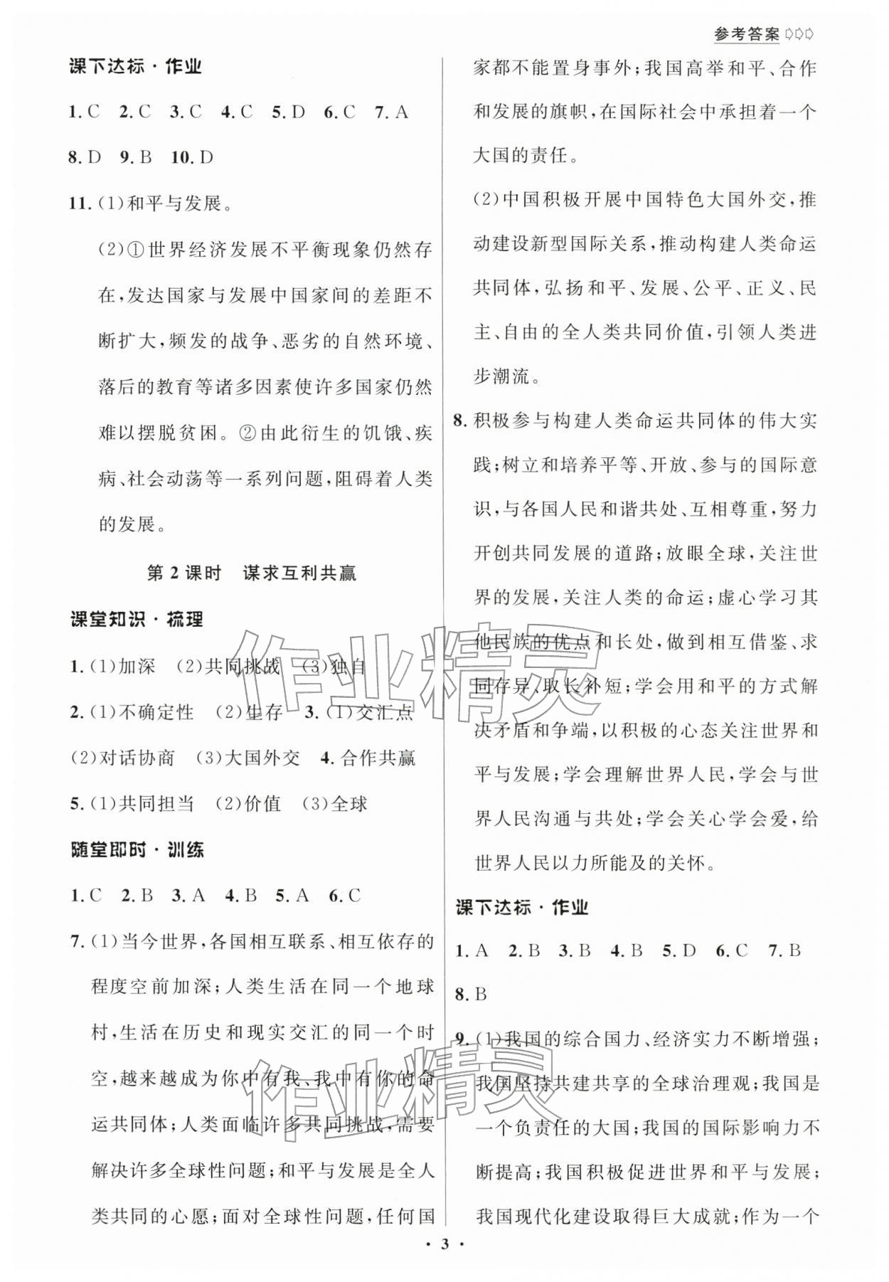 2026年学生成长册九年级道德与法治下册人教版&nbsp;第3页