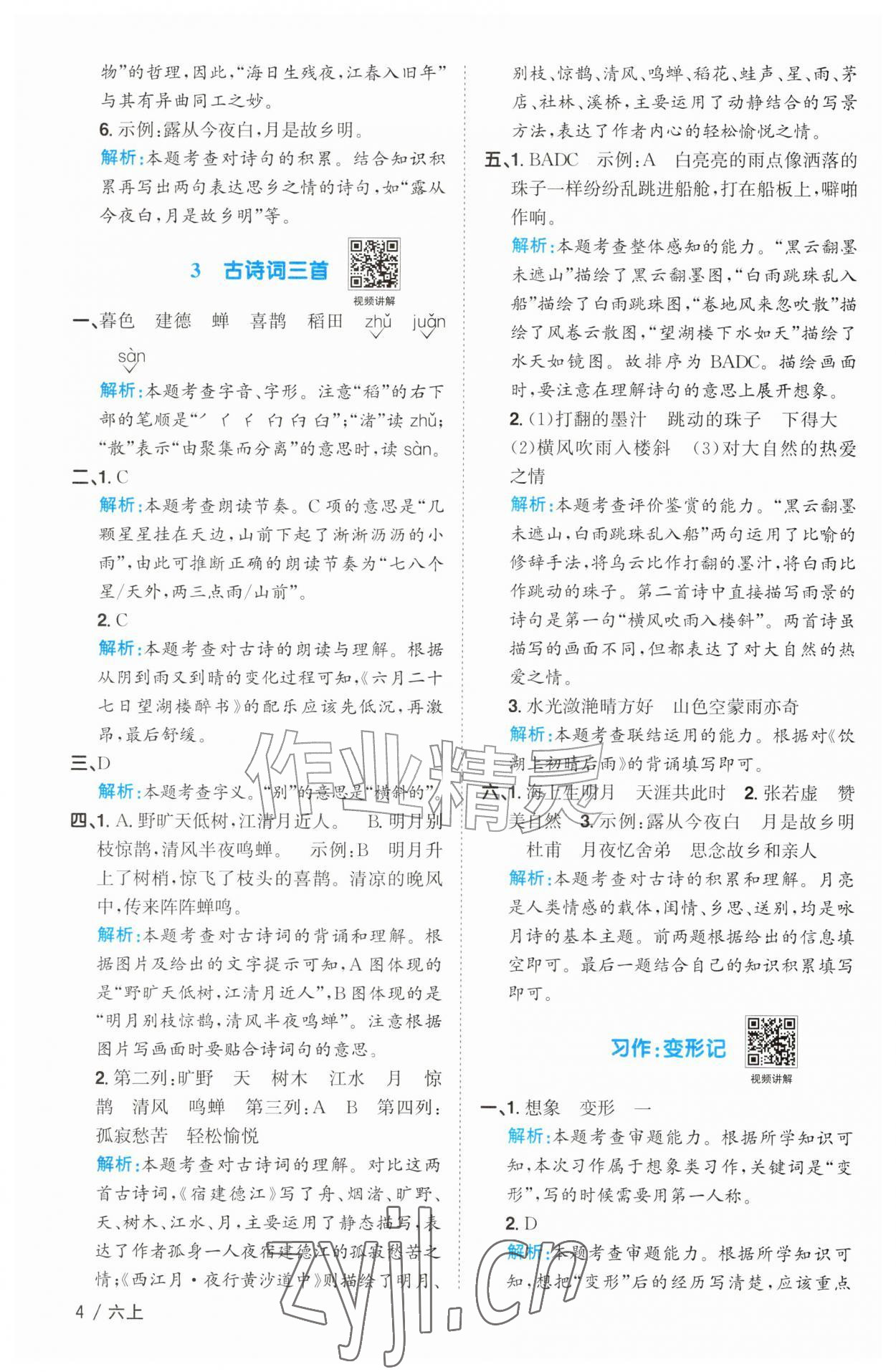 2026年阳光同学课时优化作业六年级语文上册人教版&nbsp;参考答案第4页