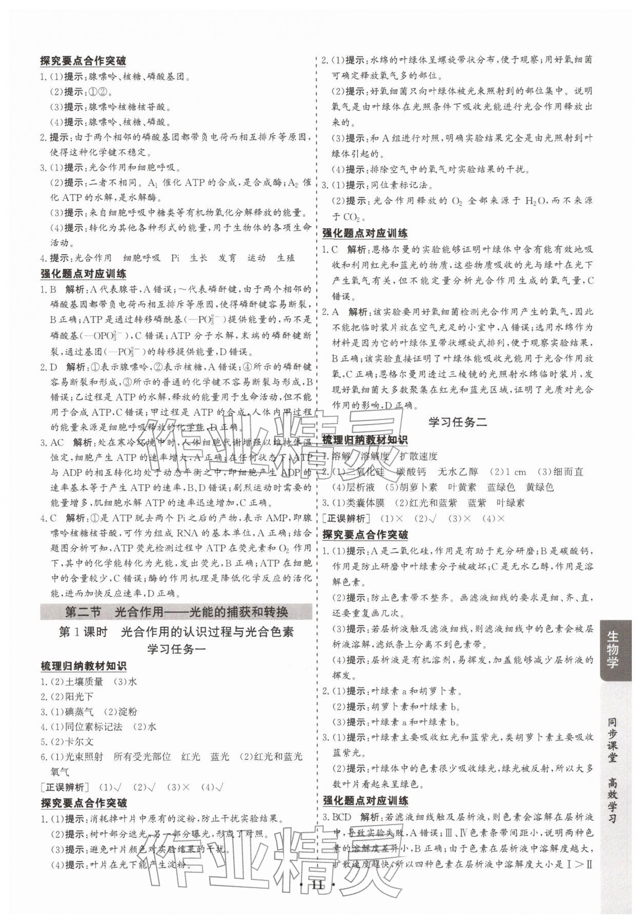 2025年凤凰易学案高中生物必修第一册苏教版&nbsp;第11页