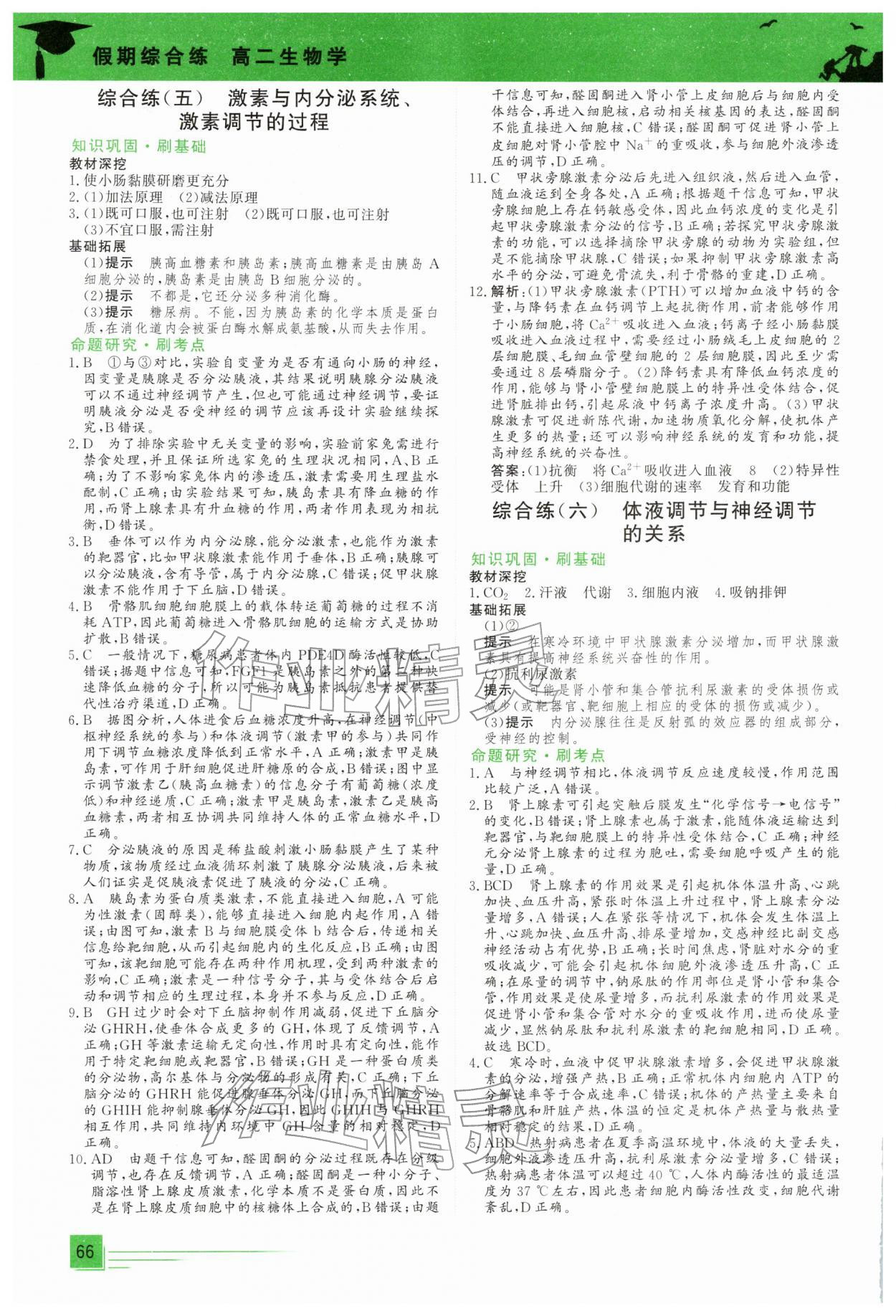 2026年假期综合练高二生物全一册人教版&nbsp;第4页
