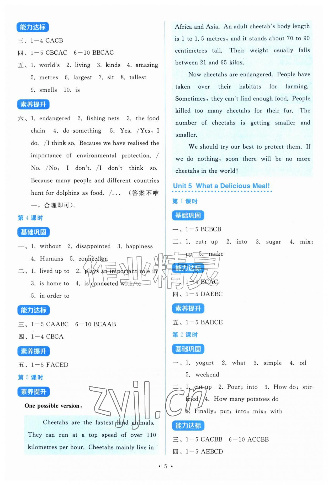 2026年金学典同步解析与测评贵州人民出版社八年级英语上册人教版&nbsp;第5页