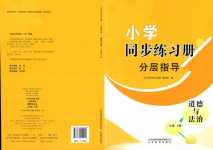 2024年同步練習冊分層卷二年級道德與法治下冊人教版