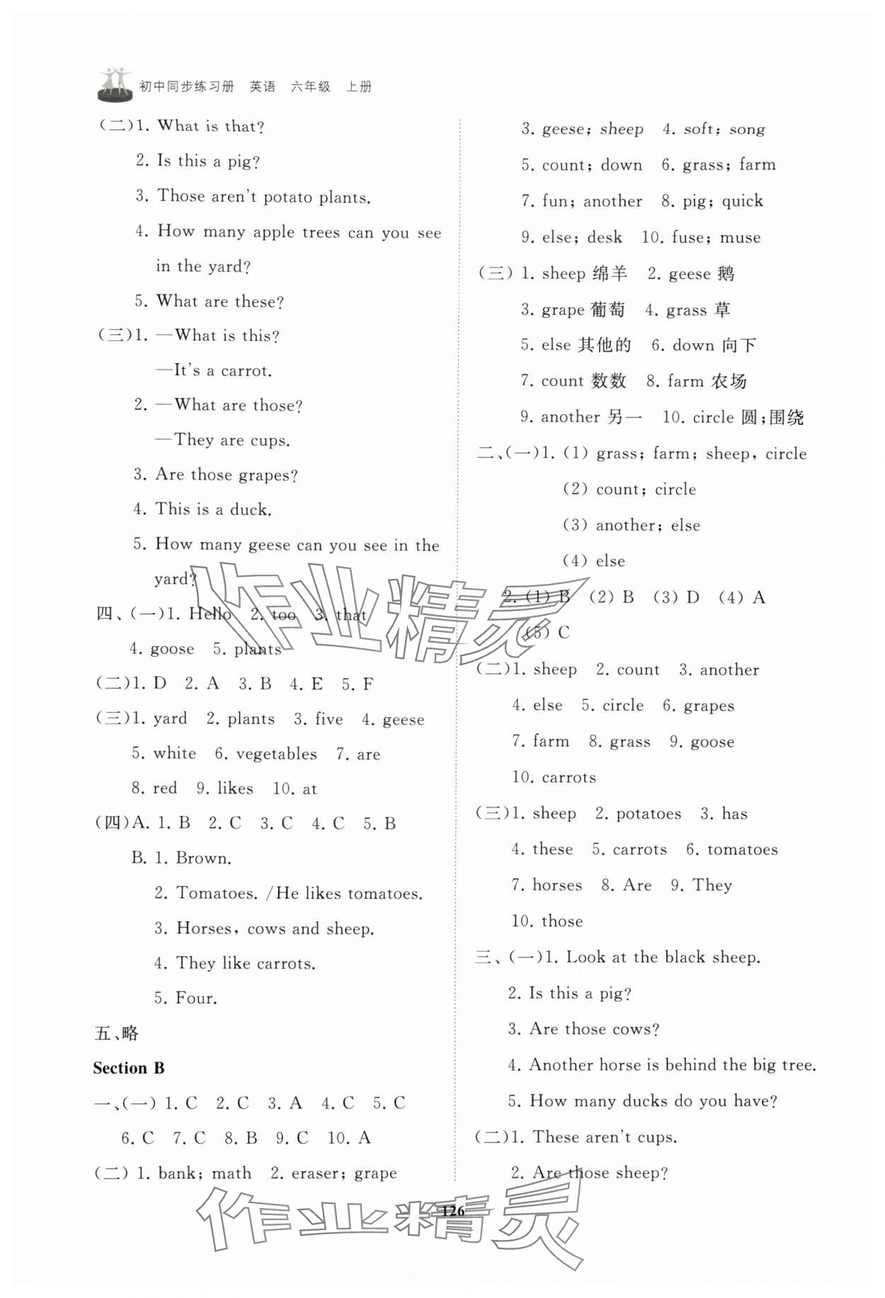 2025年同步练习册山东友谊出版社六年级英语上册鲁教版五四制&nbsp;第6页