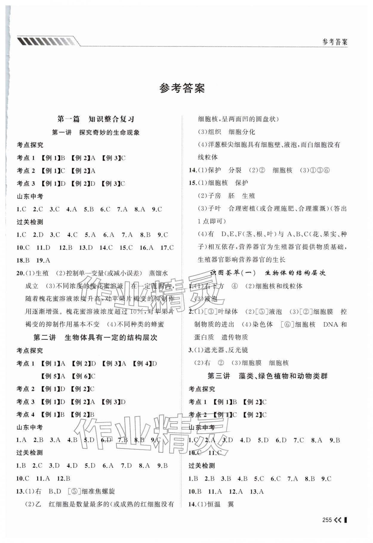 2026年初中总复习手册山东人民出版社生物济南版&nbsp;第1页