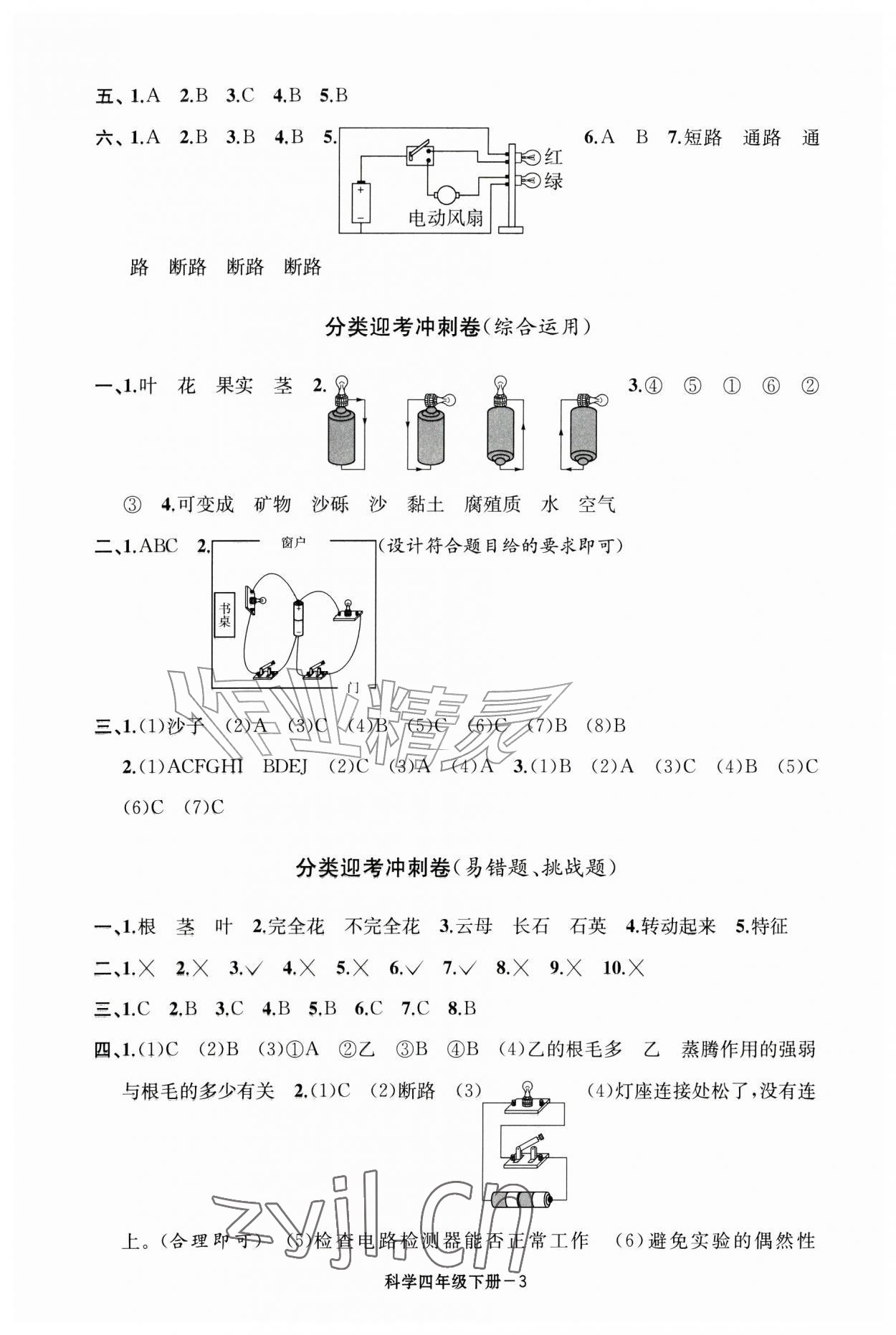 2026年浙江各地期末迎考卷四年级科学下册教科版&nbsp;第3页