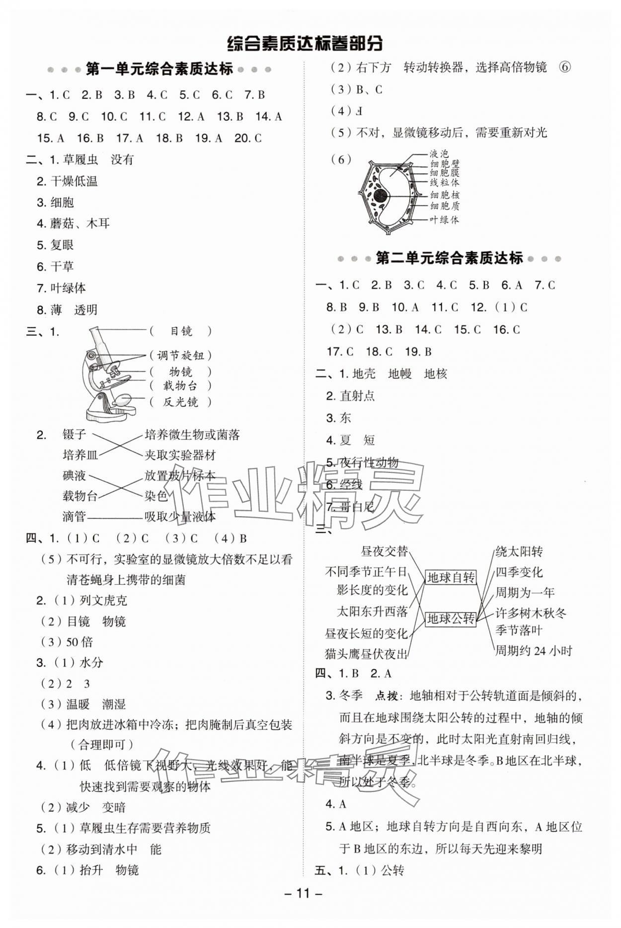 2025年综合应用创新题典中点六年级科学上册教科版&nbsp;参考答案第11页